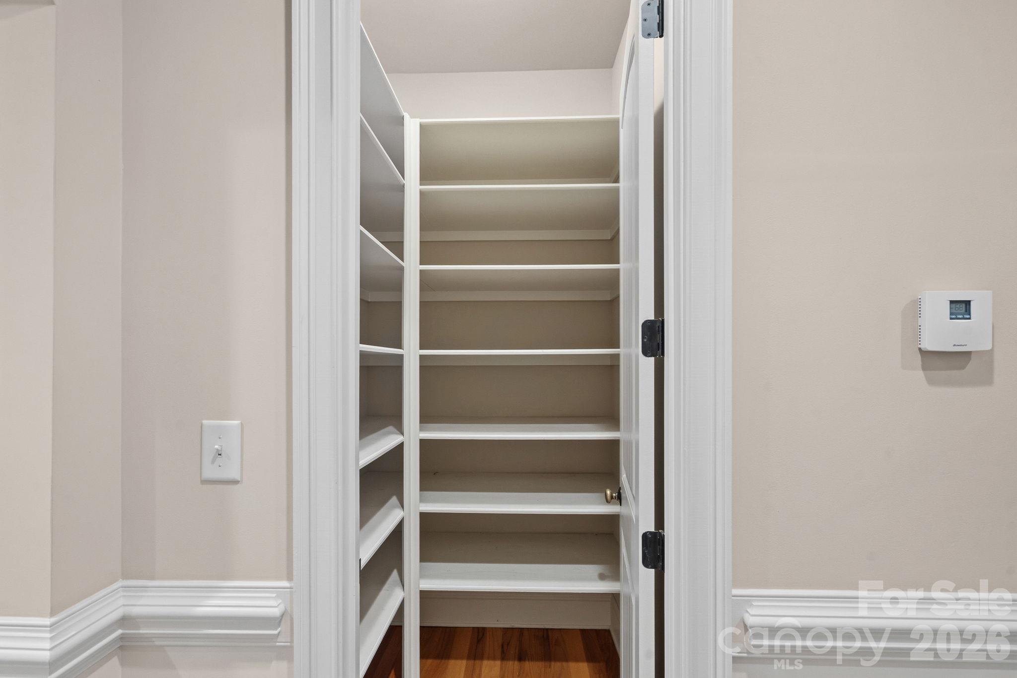 Walk-in pantry - 108 Lazenby Drive, Fort Mill