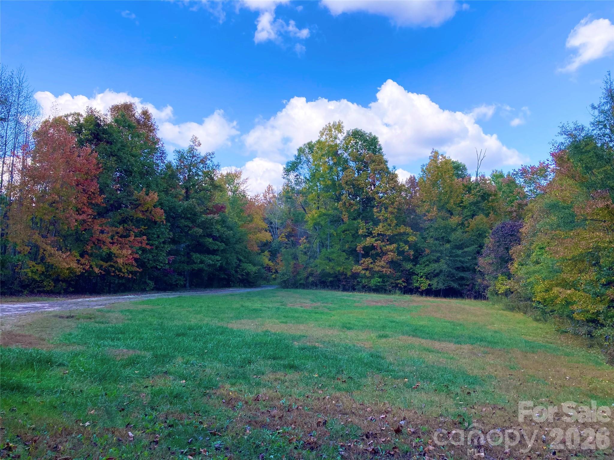 Front yard - 207 Aceland Circle, Salisbury