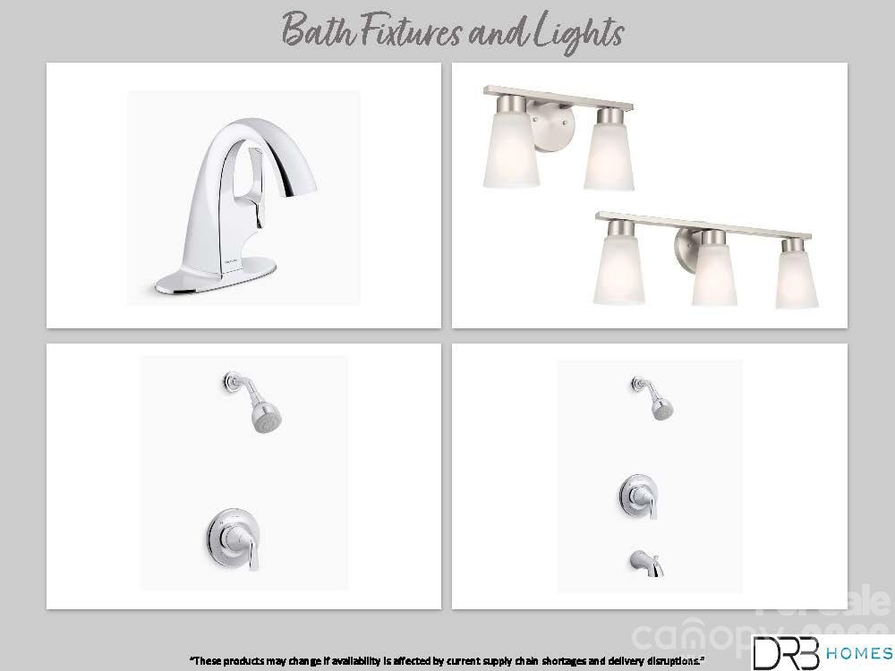 Bathroom plumbing and light fixtures - 528 Cottage Garden Lane, Belmont