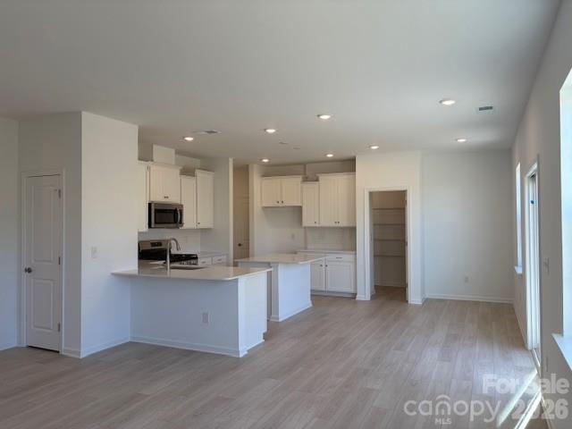 Single Family Residence at 1530 Swallow Tail Drive, Belmont, photo 8 of 33