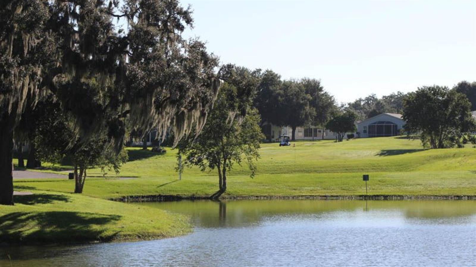 Golf Course - 124 TRAILWOOD DR, LEESBURG