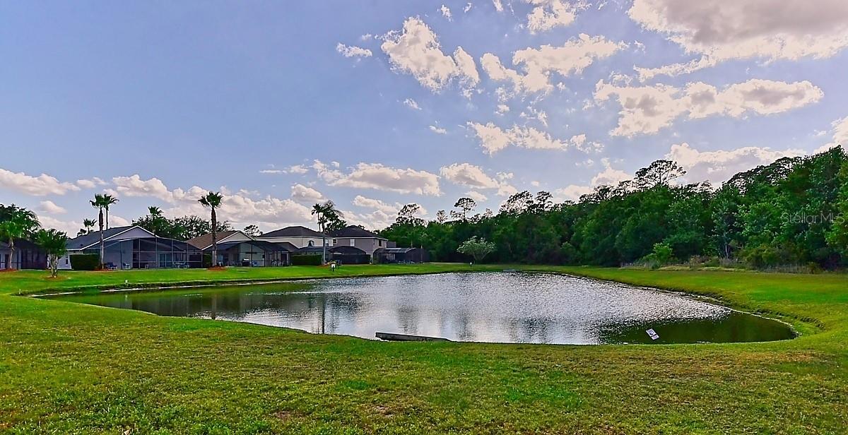 Townhouse at 1066 PARK RIDGE CIR, KISSIMMEE, photo 45 of 45