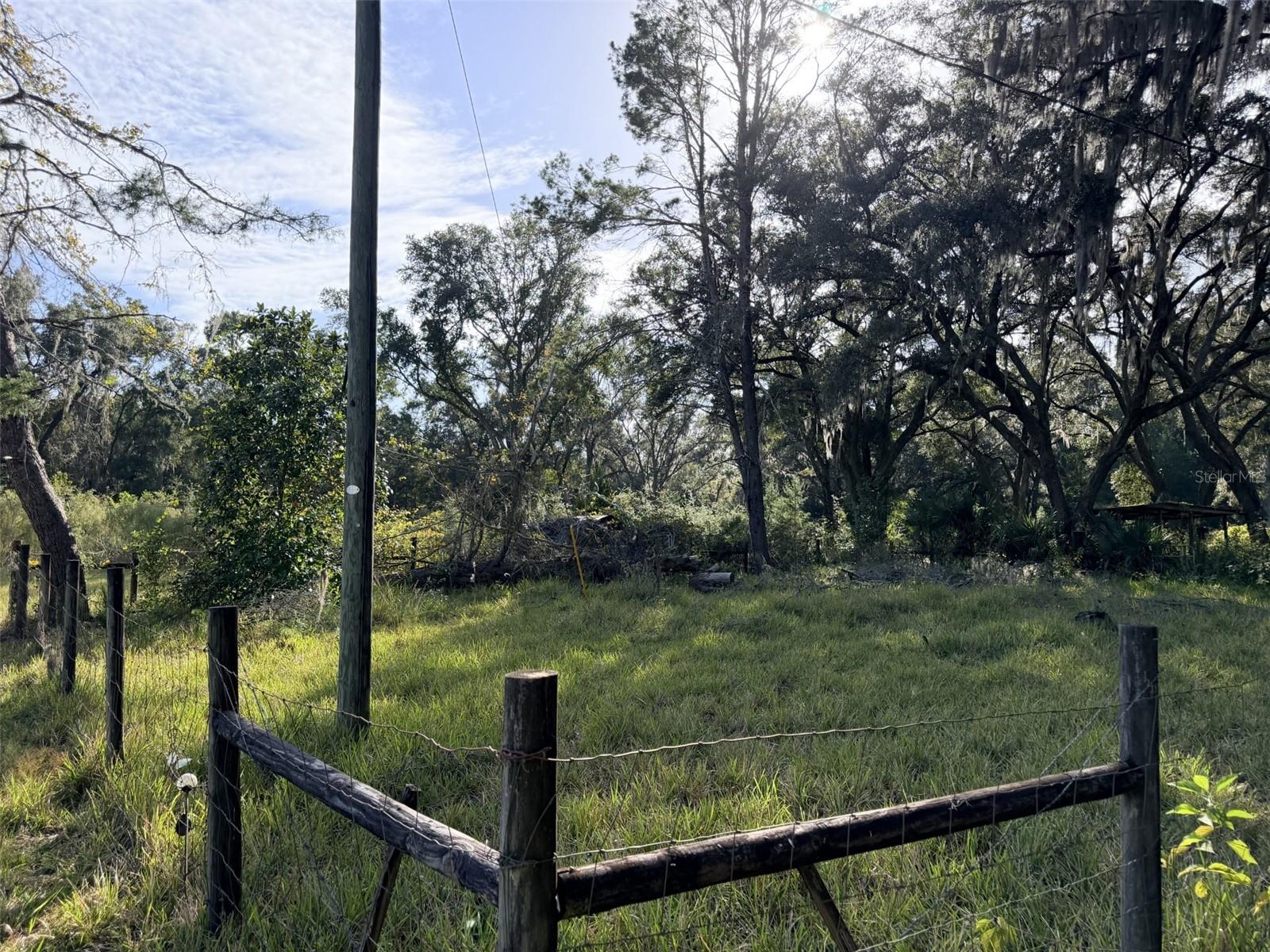 Land at 1190 NW 92ND PL, CHIEFLAND, photo 6 of 16