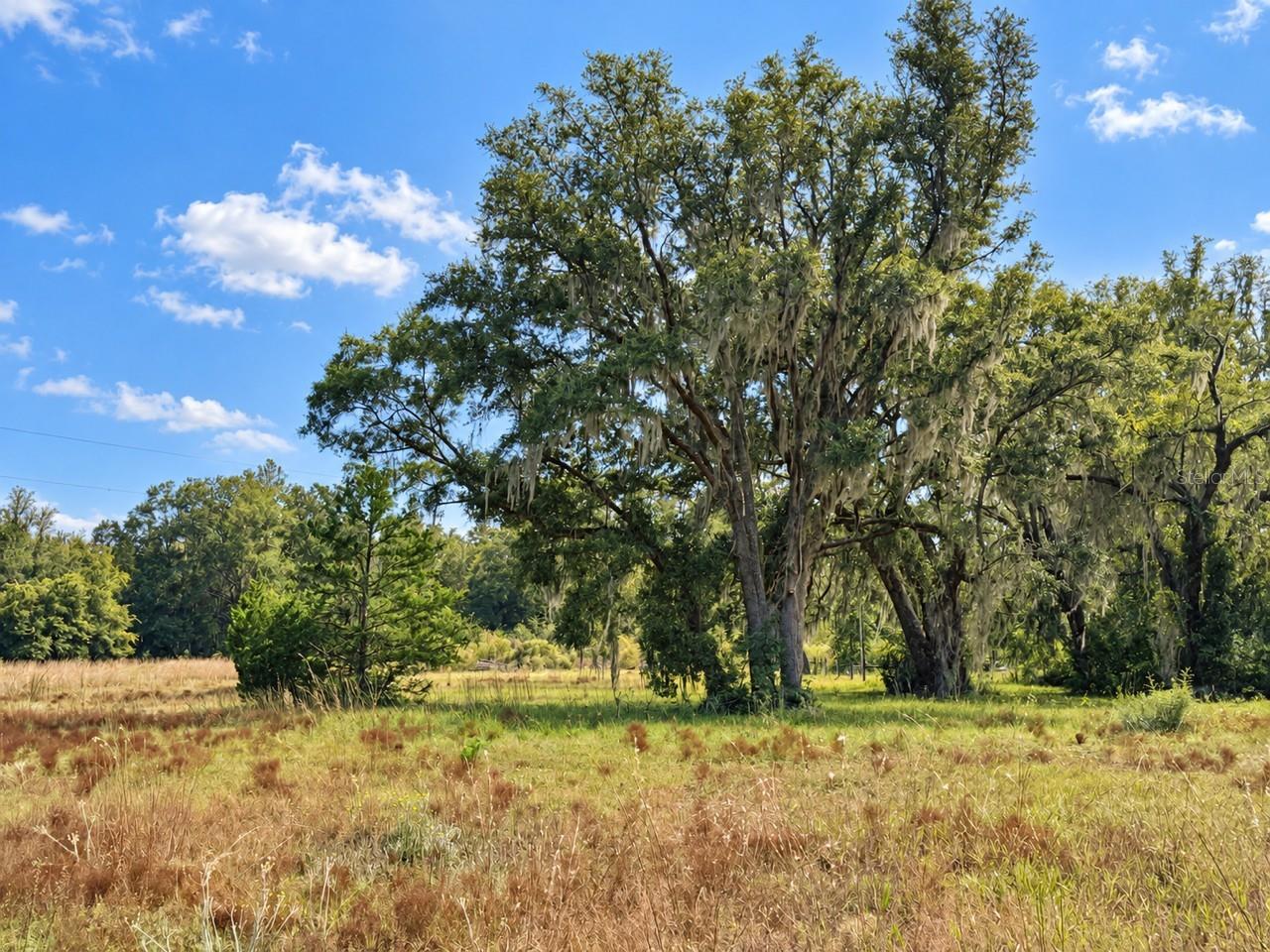 Land at 1190 NW 92ND PL, CHIEFLAND, photo 9 of 16