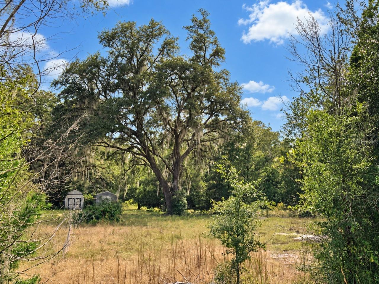 Land at 1190 NW 92ND PL, CHIEFLAND, photo 13 of 16