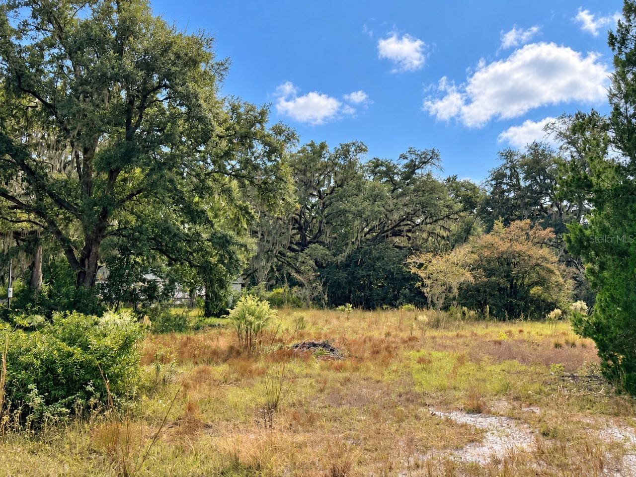 Land at 1190 NW 92ND PL, CHIEFLAND, photo 14 of 16