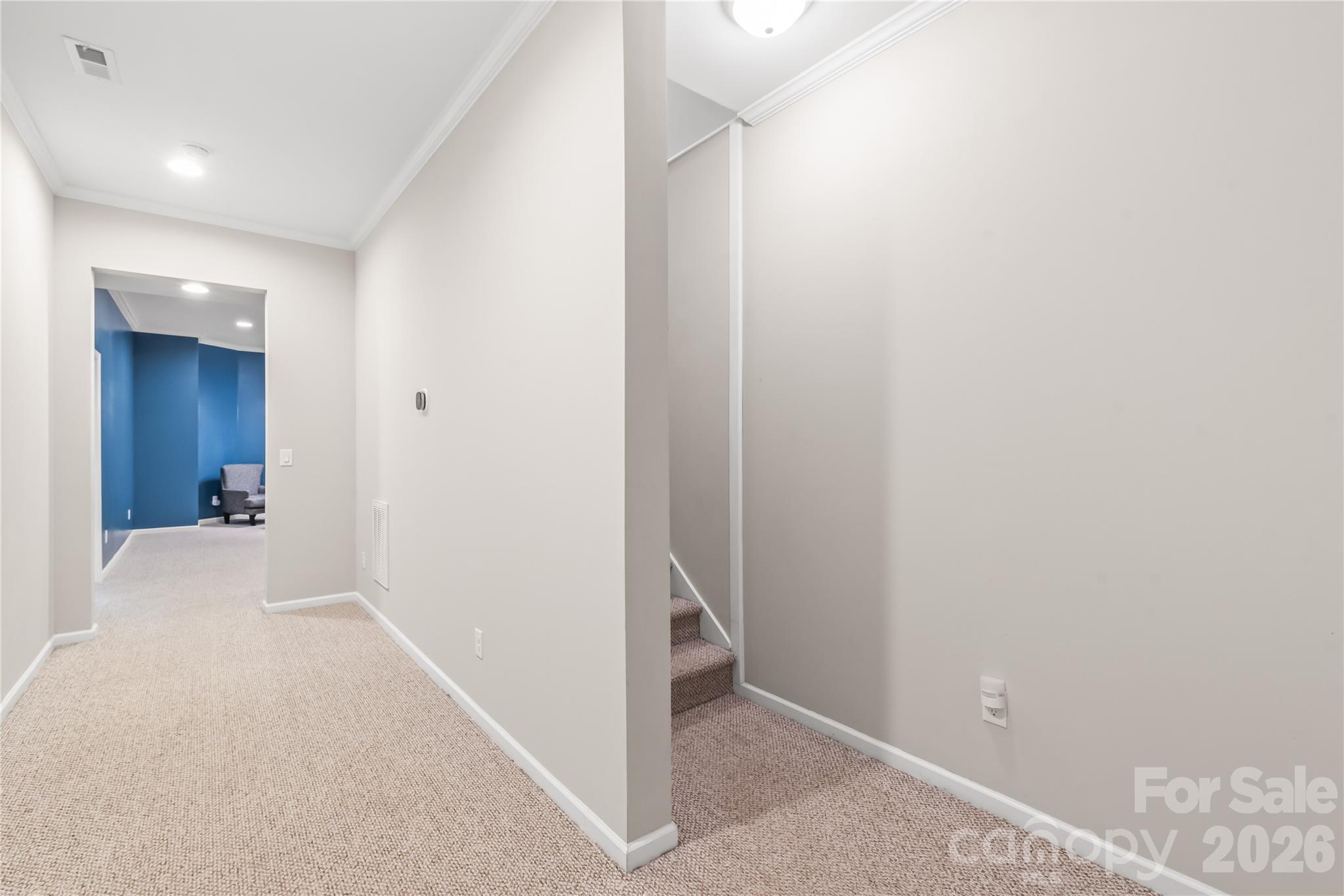 Stairs leading to the fully finished basement - 6482 Chadwell Court, Indian Land