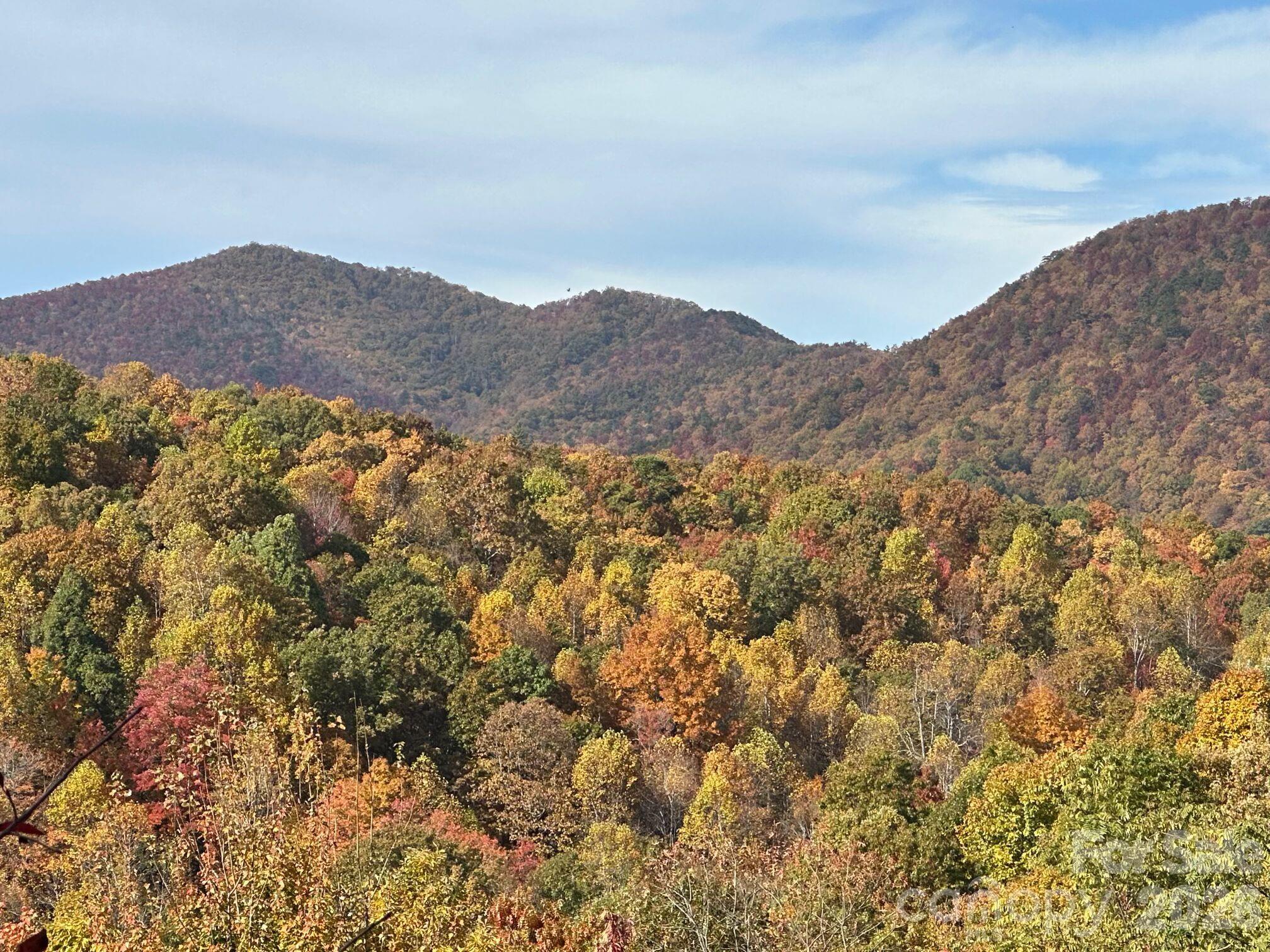 View from this great lot on Burnt Ridge Trail. - TBD Burnt Ridge Trail, Black Mountain