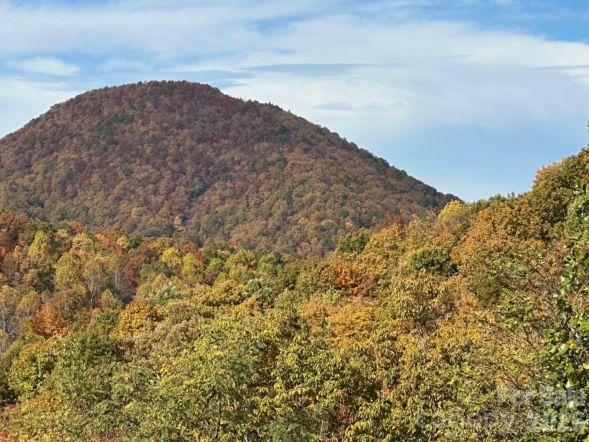 The leaves have changed last week of October. - TBD Burnt Ridge Trail, Black Mountain