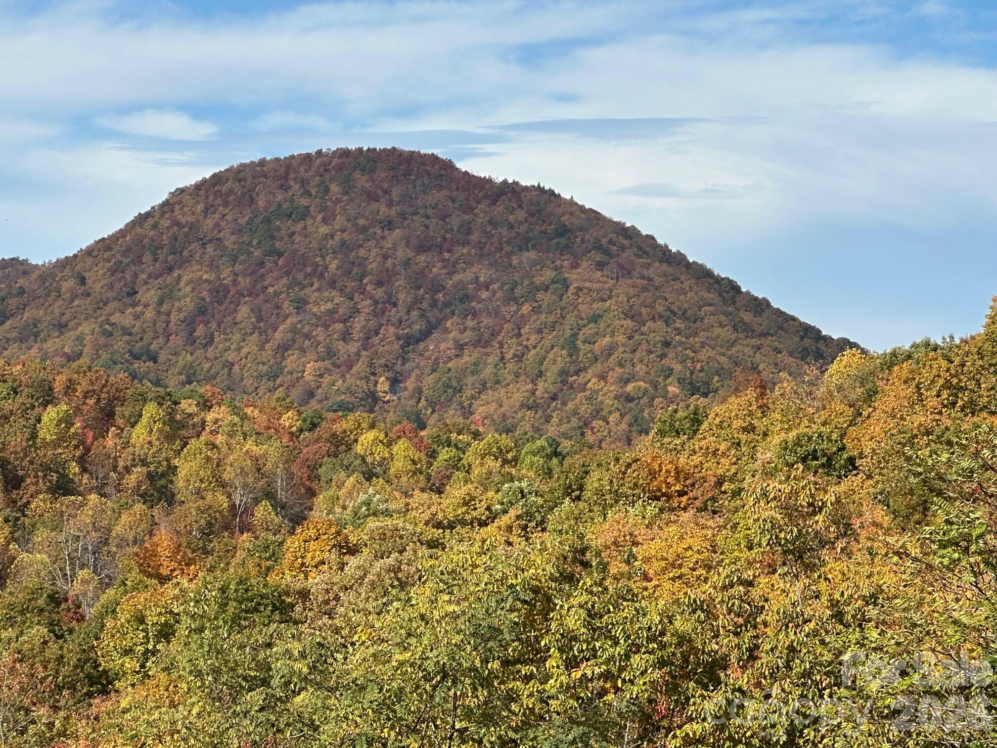 The seasons change with this mountain view. - TBD Burnt Ridge Trail, Black Mountain