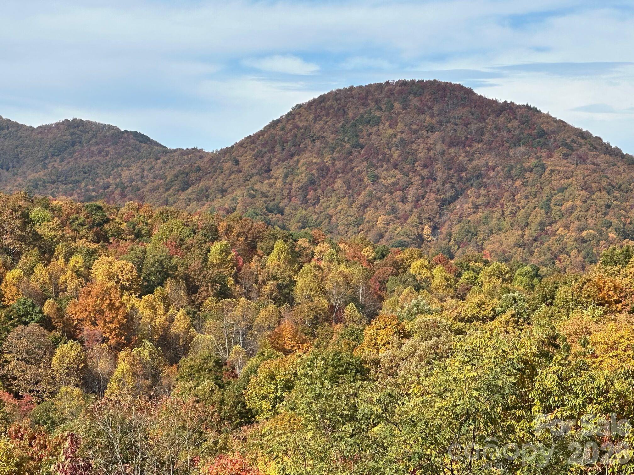 Autumn view from the border of the property last week of October. - TBD Burnt Ridge Trail, Black Mountain