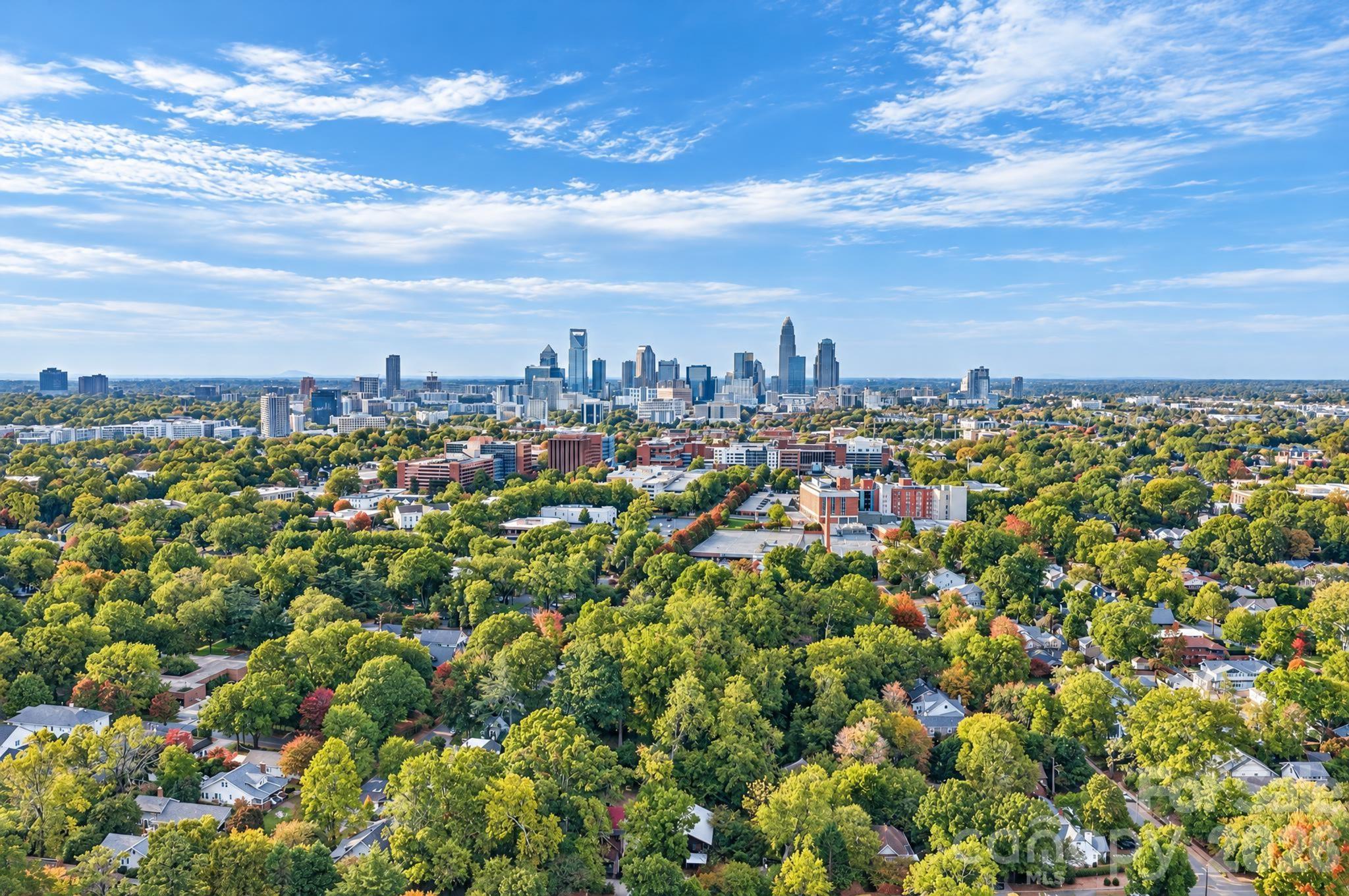 Minutes to Downtown - 306 N Dotger Avenue, Charlotte