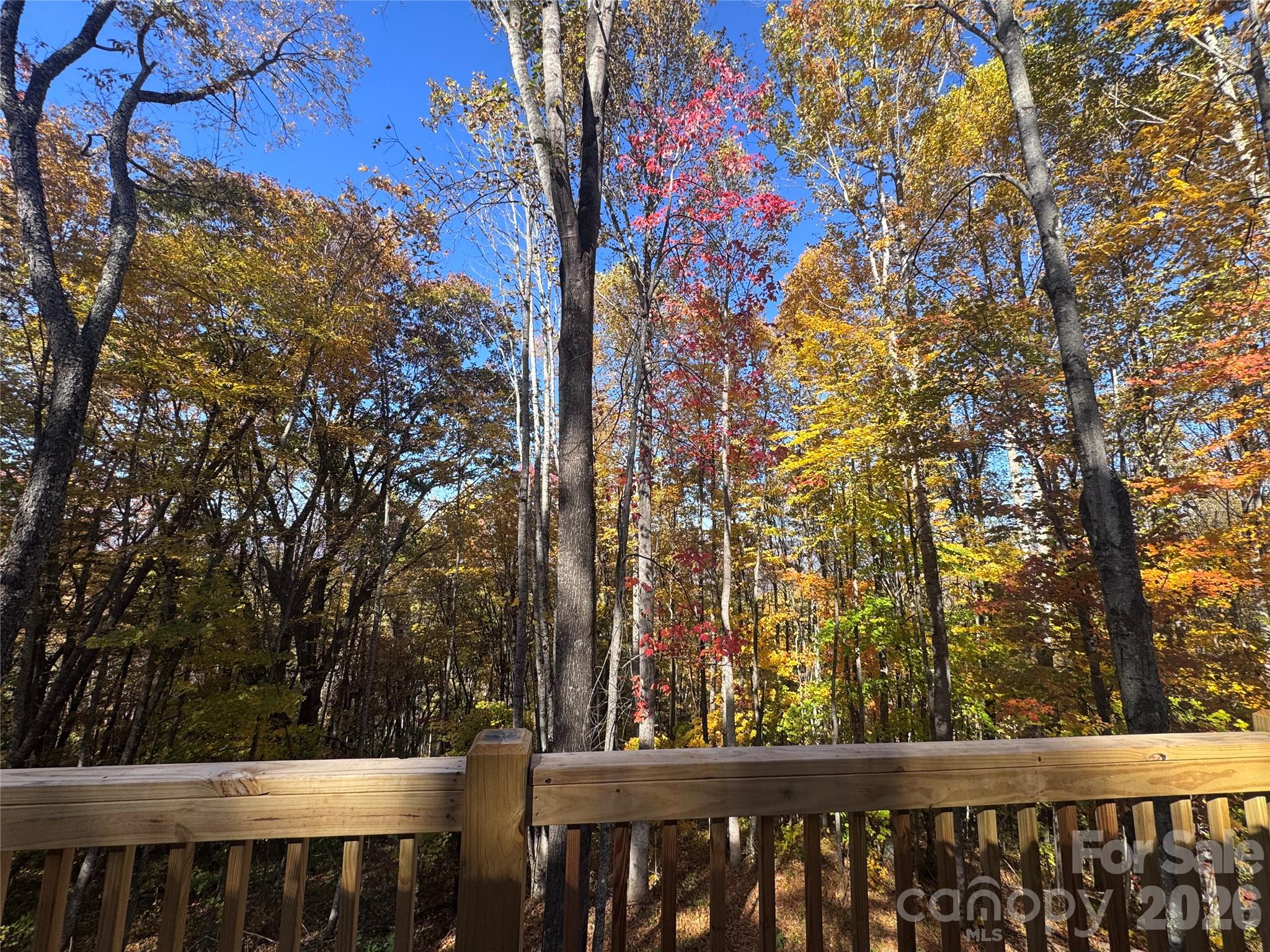 Single Family Residence at 1282 Old Country Road, Waynesville, photo 4 of 22