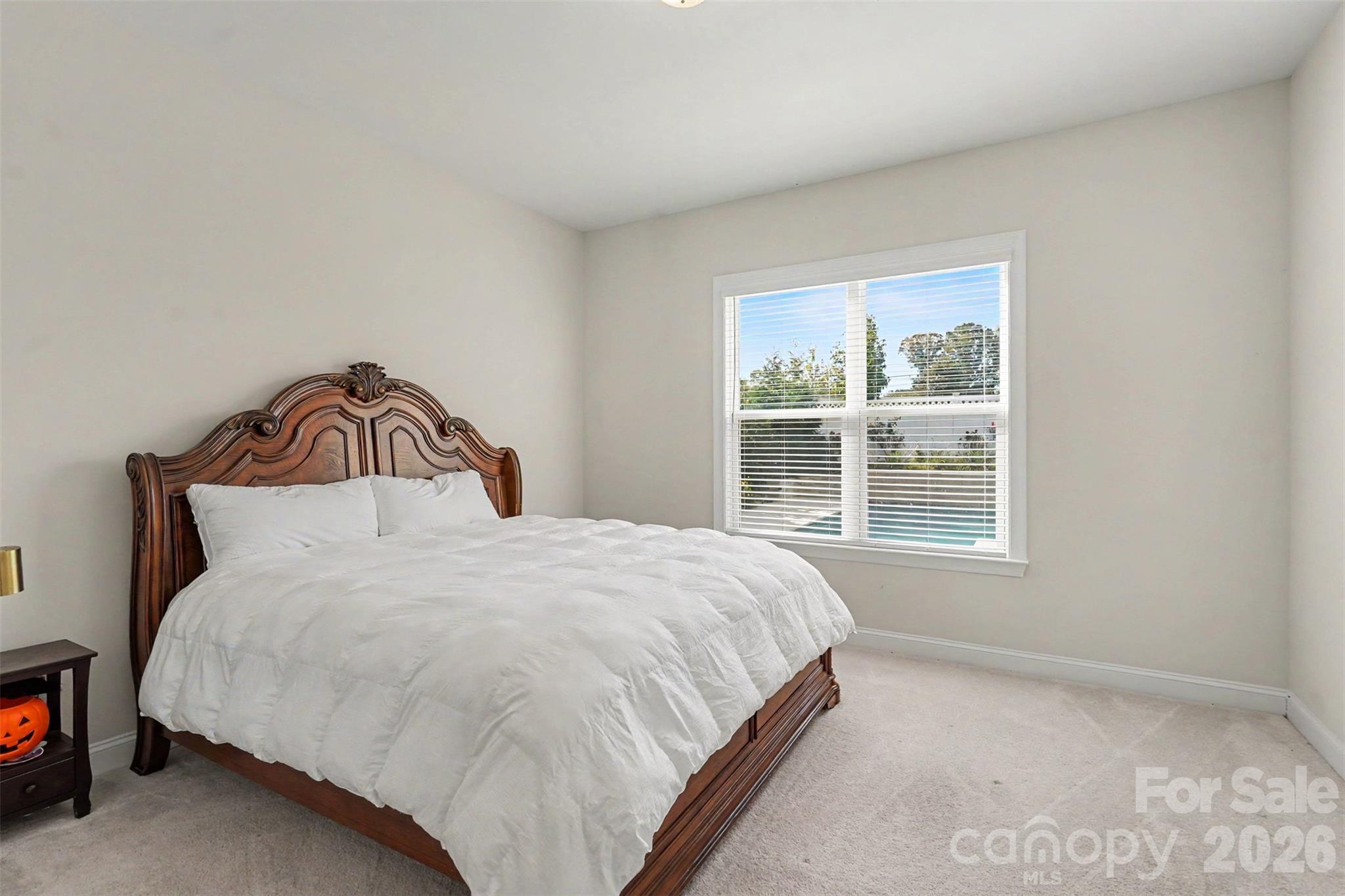 Downstairs Flex Space/Bedroom - 5005 Alexander Manor Drive, Charlotte