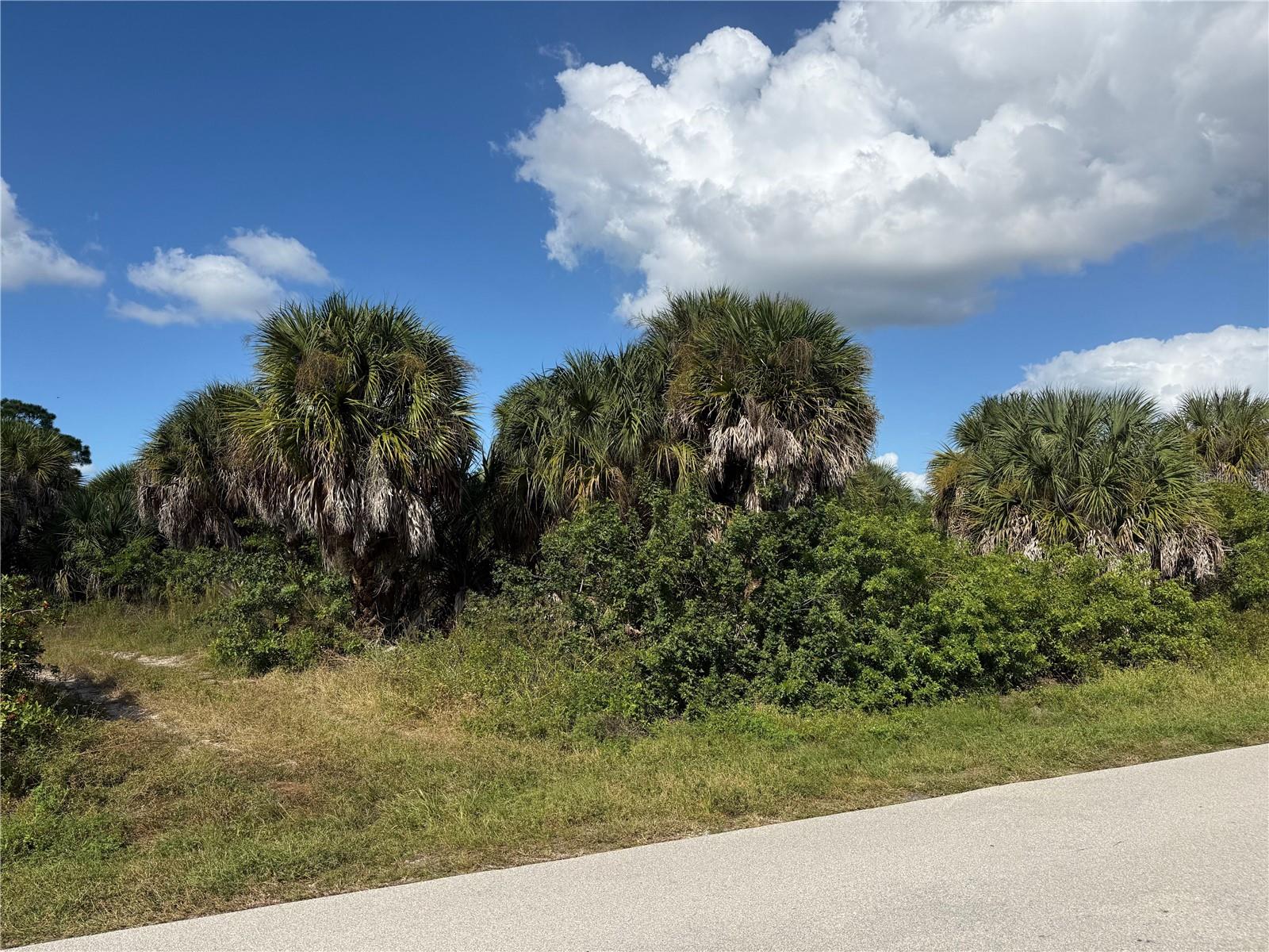 Land at 2375 MCPHEARSON DR, PORT CHARLOTTE, photo 2 of 11