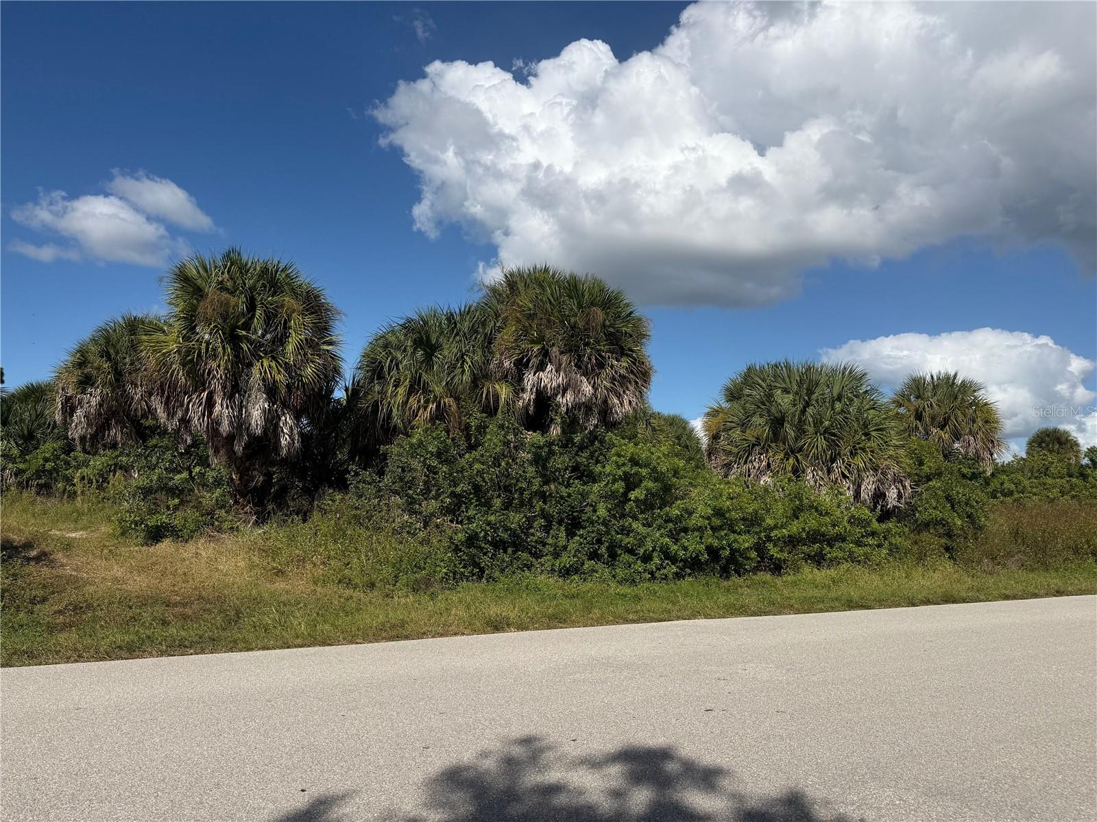 Land at 2375 MCPHEARSON DR, PORT CHARLOTTE, photo 3 of 11