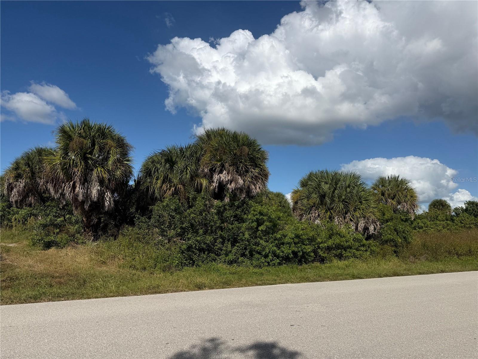 Land at 2375 MCPHEARSON DR, PORT CHARLOTTE, photo 4 of 11