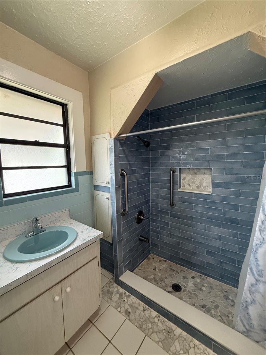 Single Family Residence at 2933 W WALNUT ST, TAMPA, photo 13 of 22