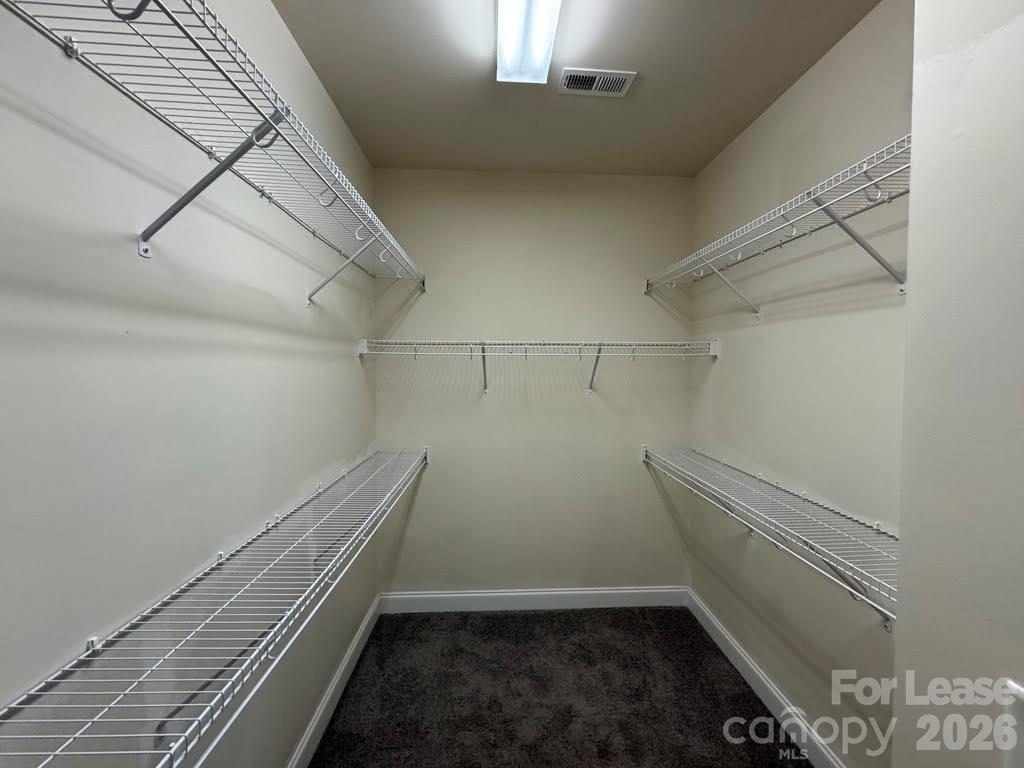 Huge Walk-in Closet - 3355 Bending Birch Place, Charlotte