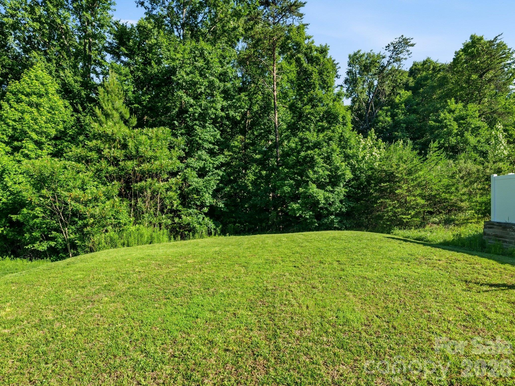 Backyard: Lawn and a wooded backdrop create a setting for relaxing, outdoor activities, or personalizing the outdoor space. - 3341 Linetender Drive, Davidson