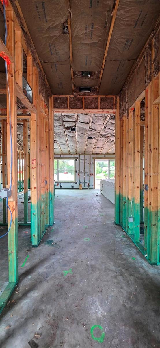 Raised entry with crown molding included - 163 BRIDGEHAVEN DR, PALM COAST