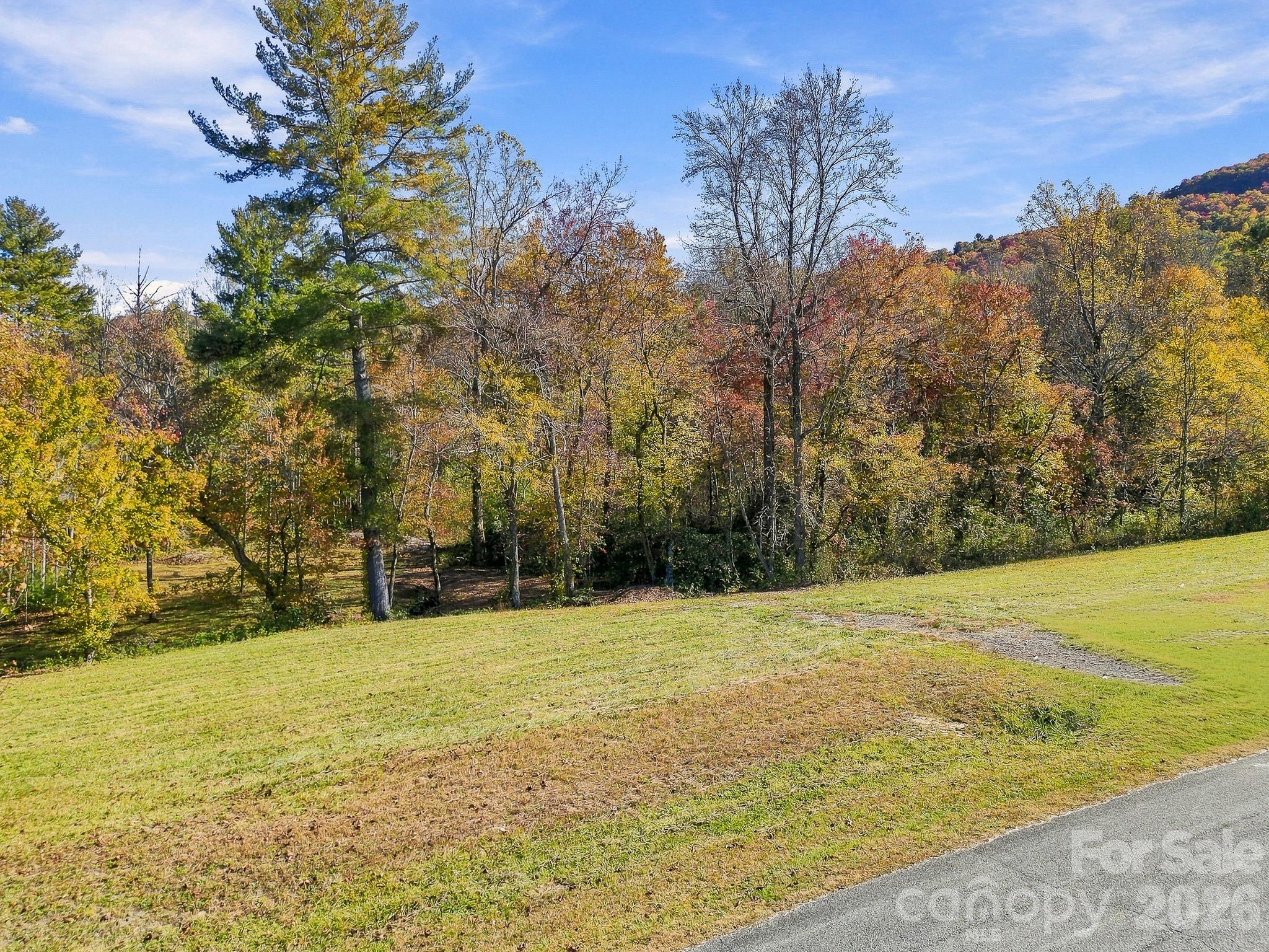 Lot at 233 Old Gait Drive, Hendersonville, photo 5 of 43