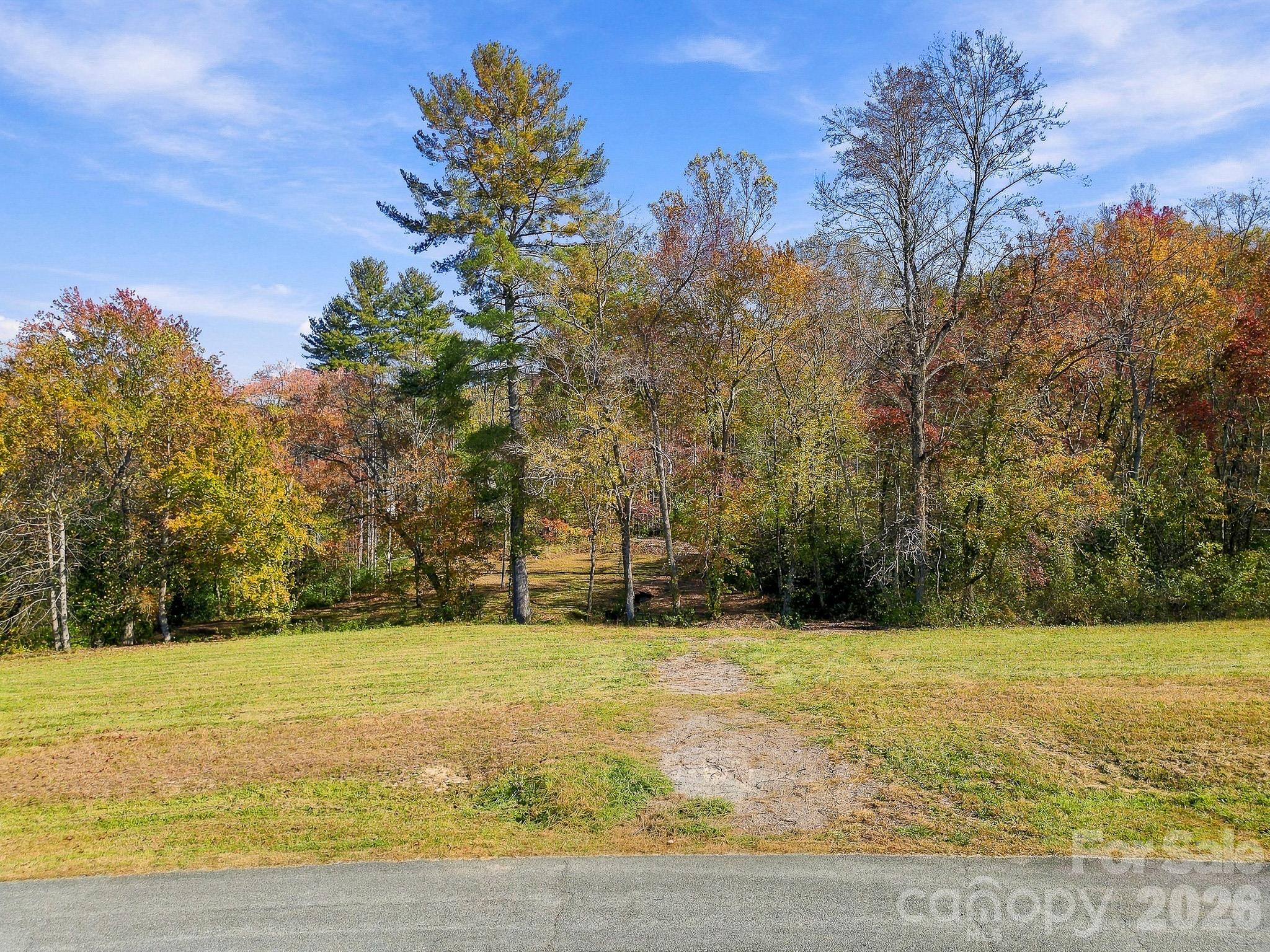 Lot at 233 Old Gait Drive, Hendersonville, photo 7 of 43