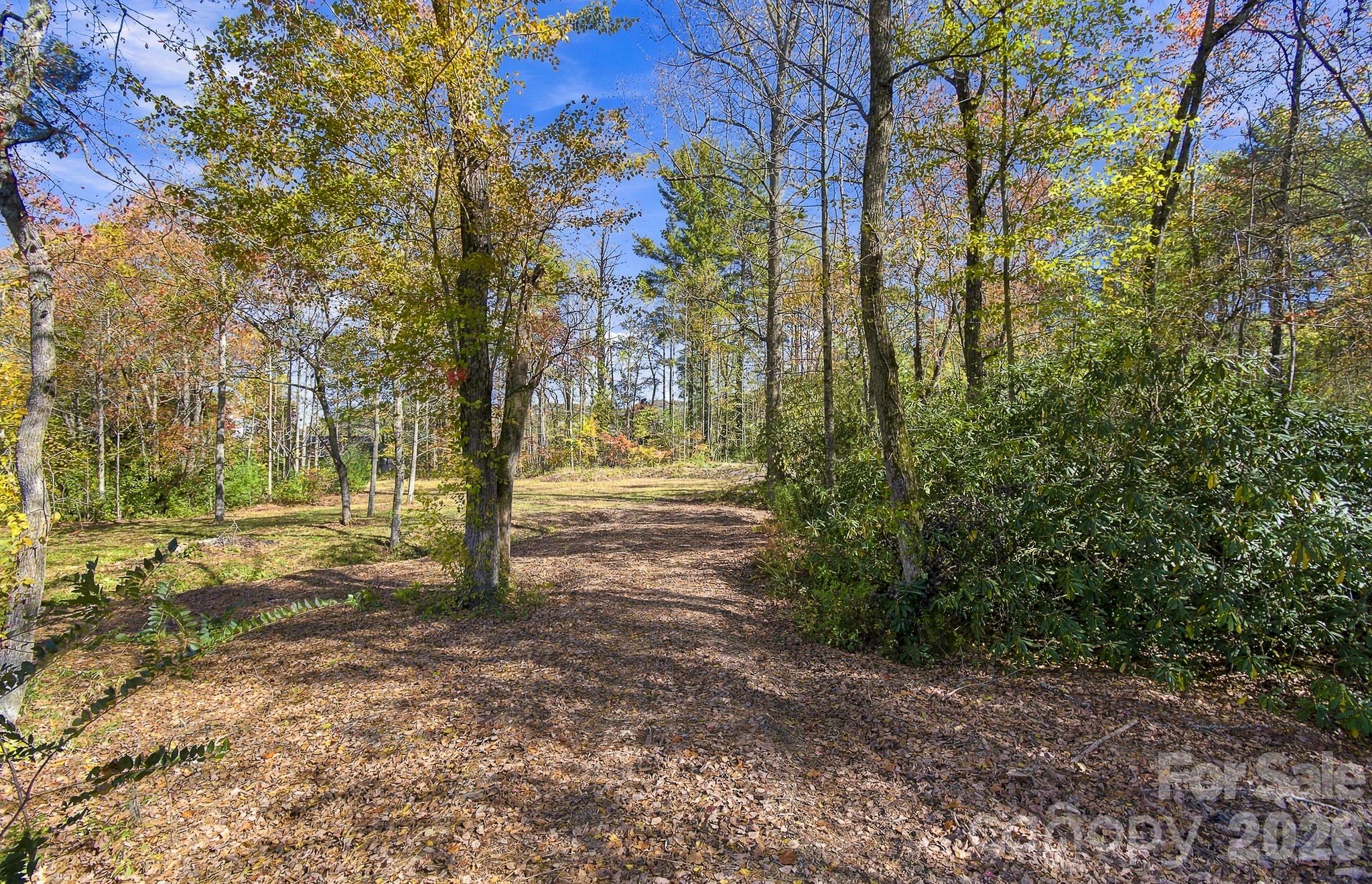 Lot at 233 Old Gait Drive, Hendersonville, photo 8 of 43