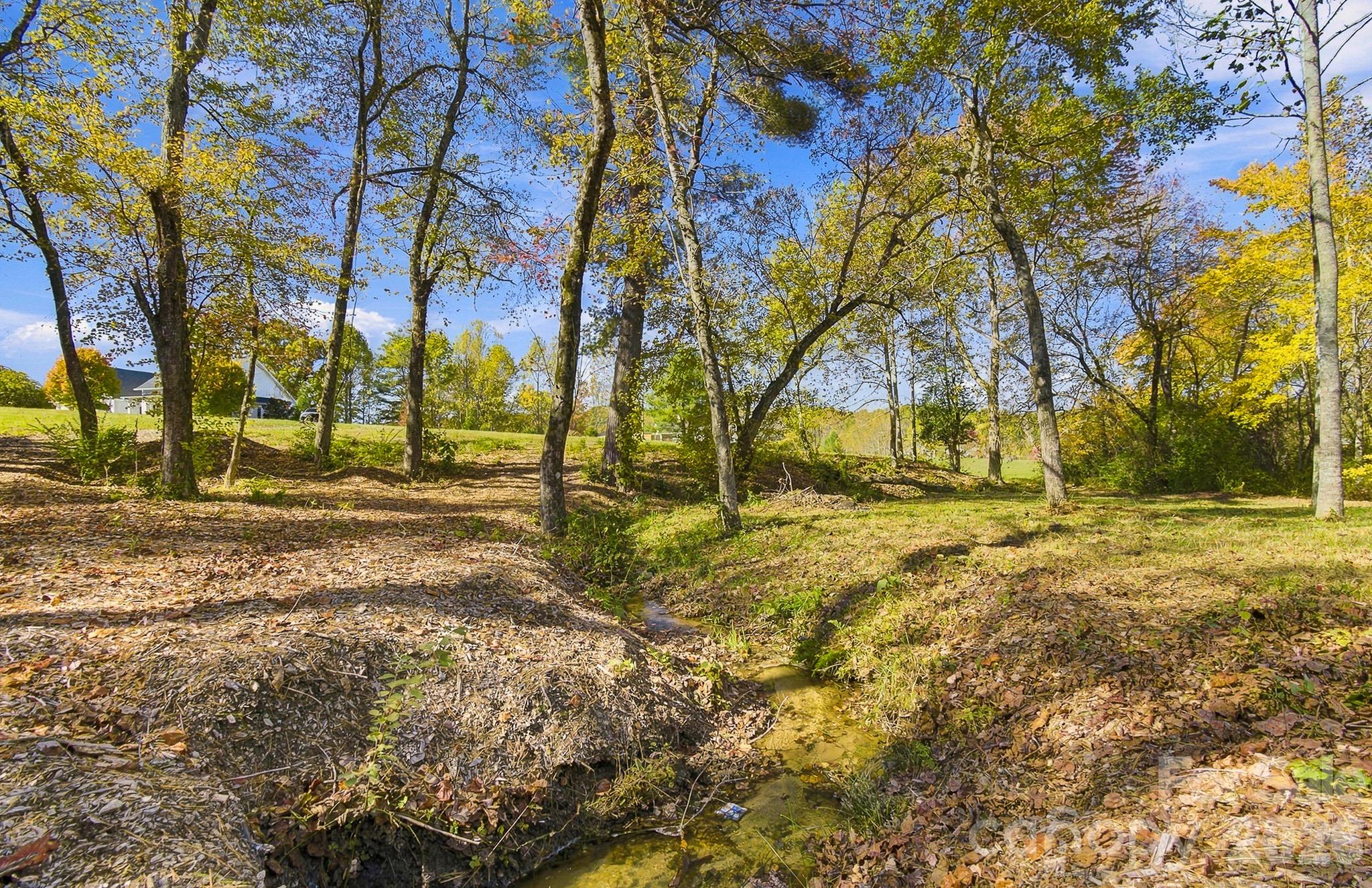 Lot at 233 Old Gait Drive, Hendersonville, photo 12 of 43