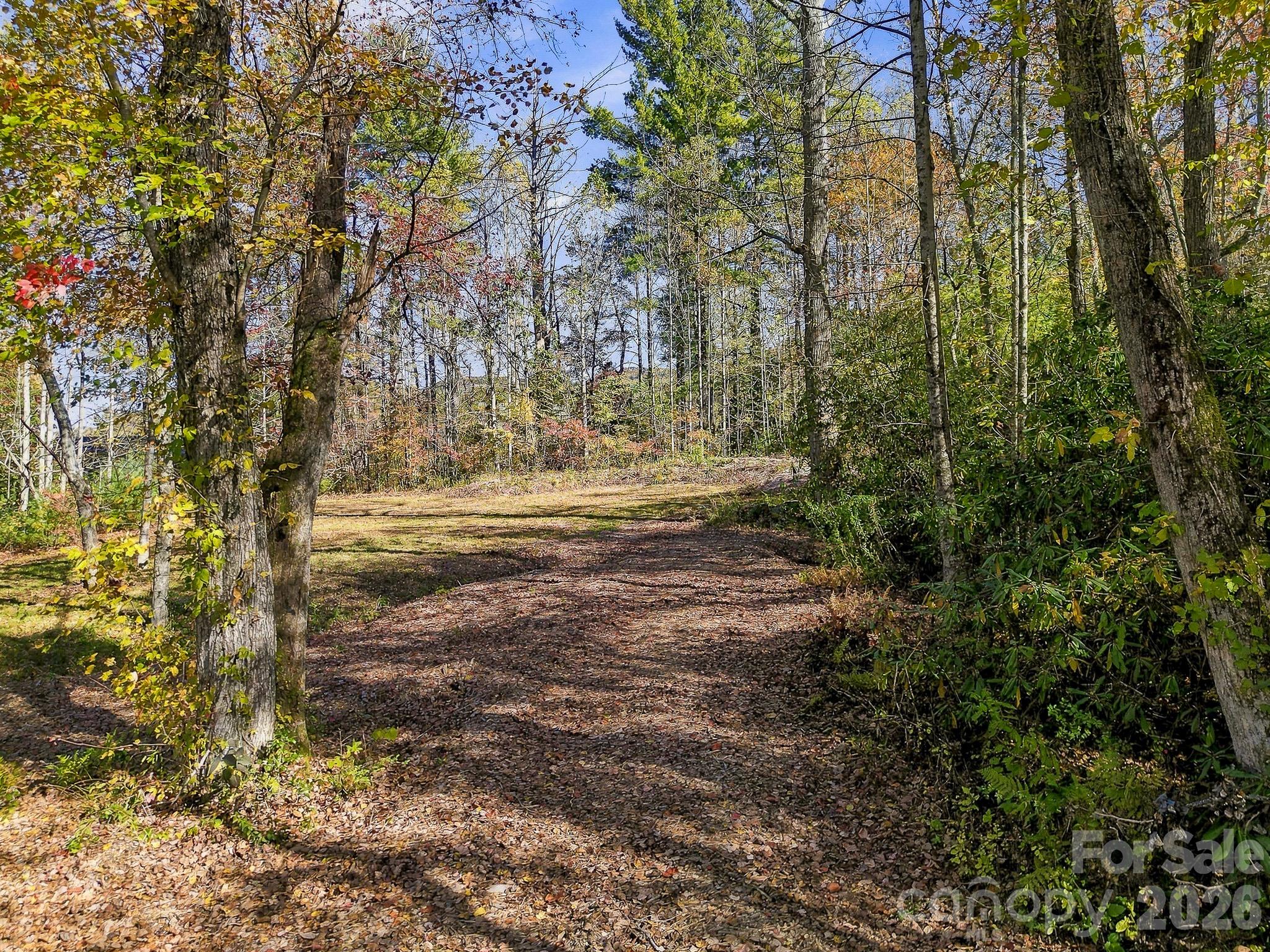 Lot at 233 Old Gait Drive, Hendersonville, photo 16 of 43