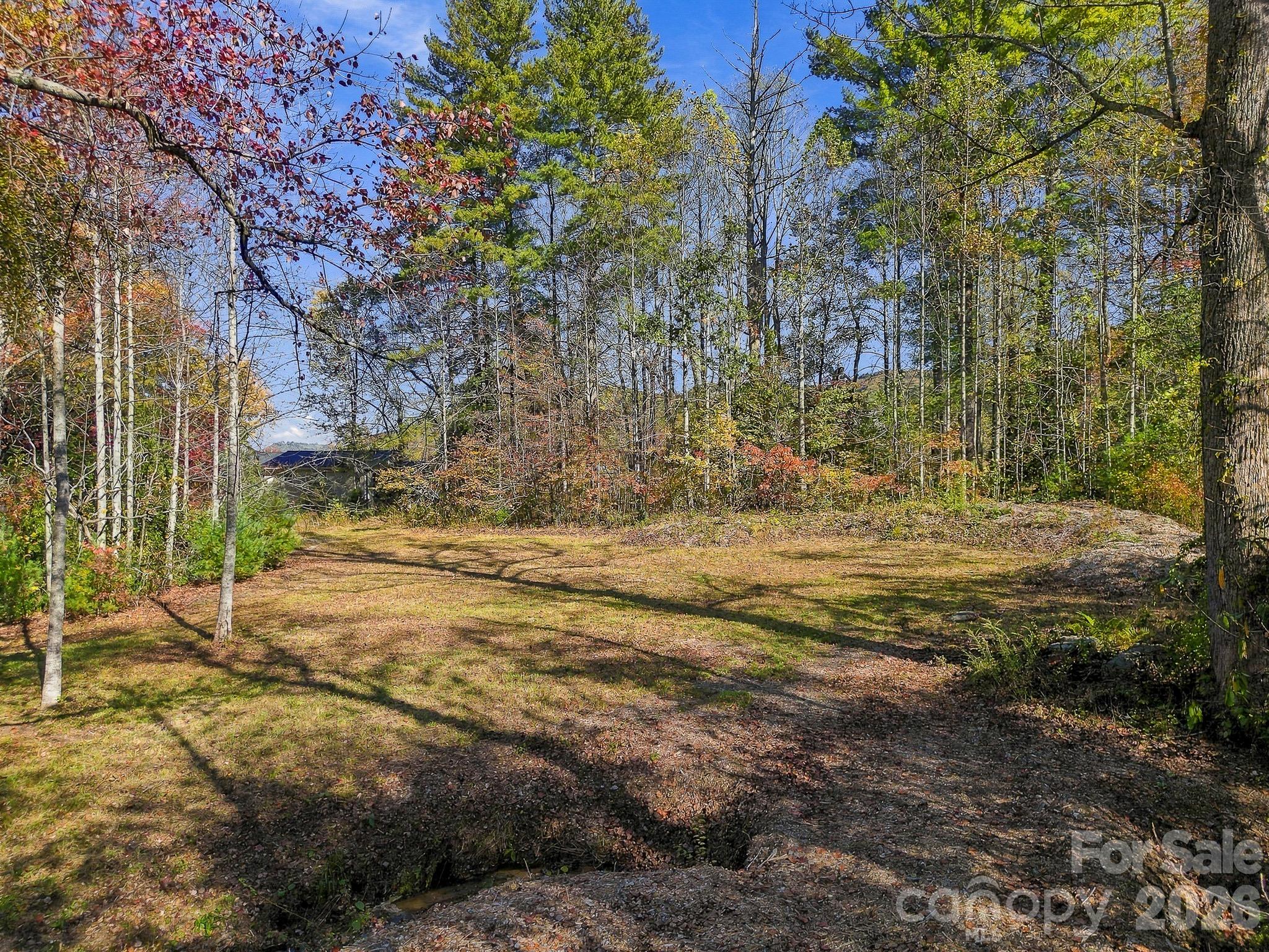 Lot at 233 Old Gait Drive, Hendersonville, photo 17 of 43