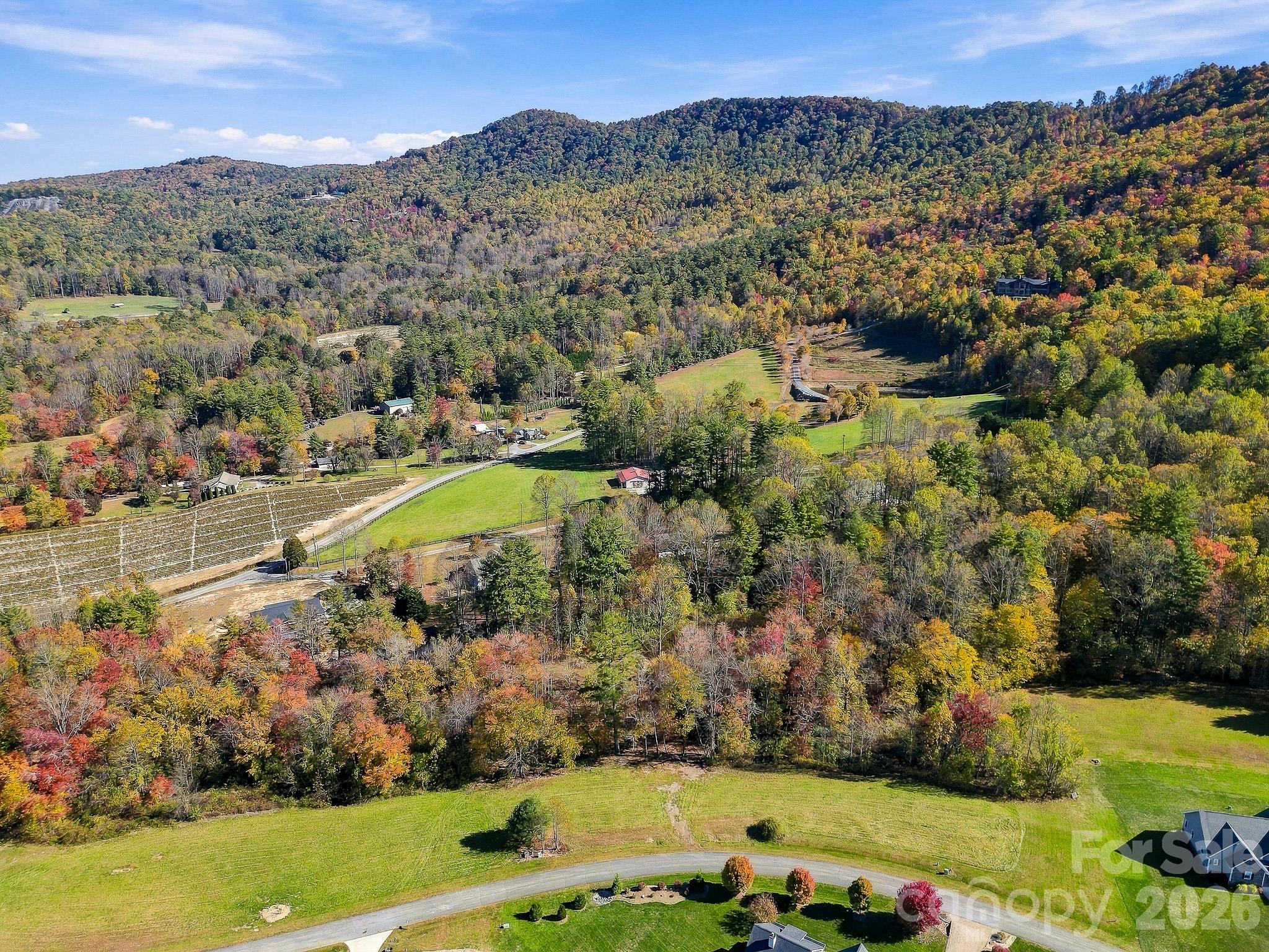 Lot at 233 Old Gait Drive, Hendersonville, photo 35 of 43