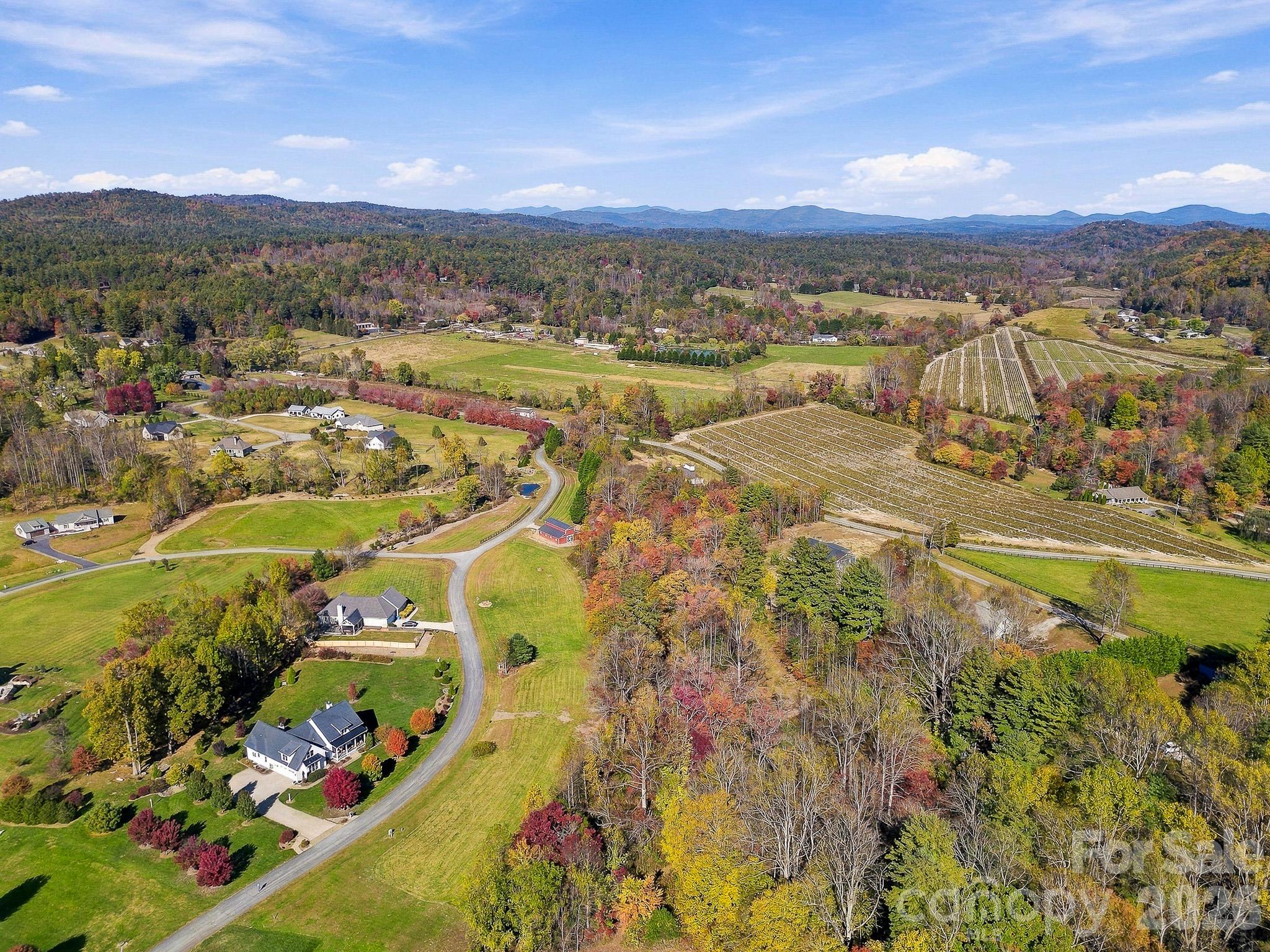 Lot at 233 Old Gait Drive, Hendersonville, photo 38 of 43
