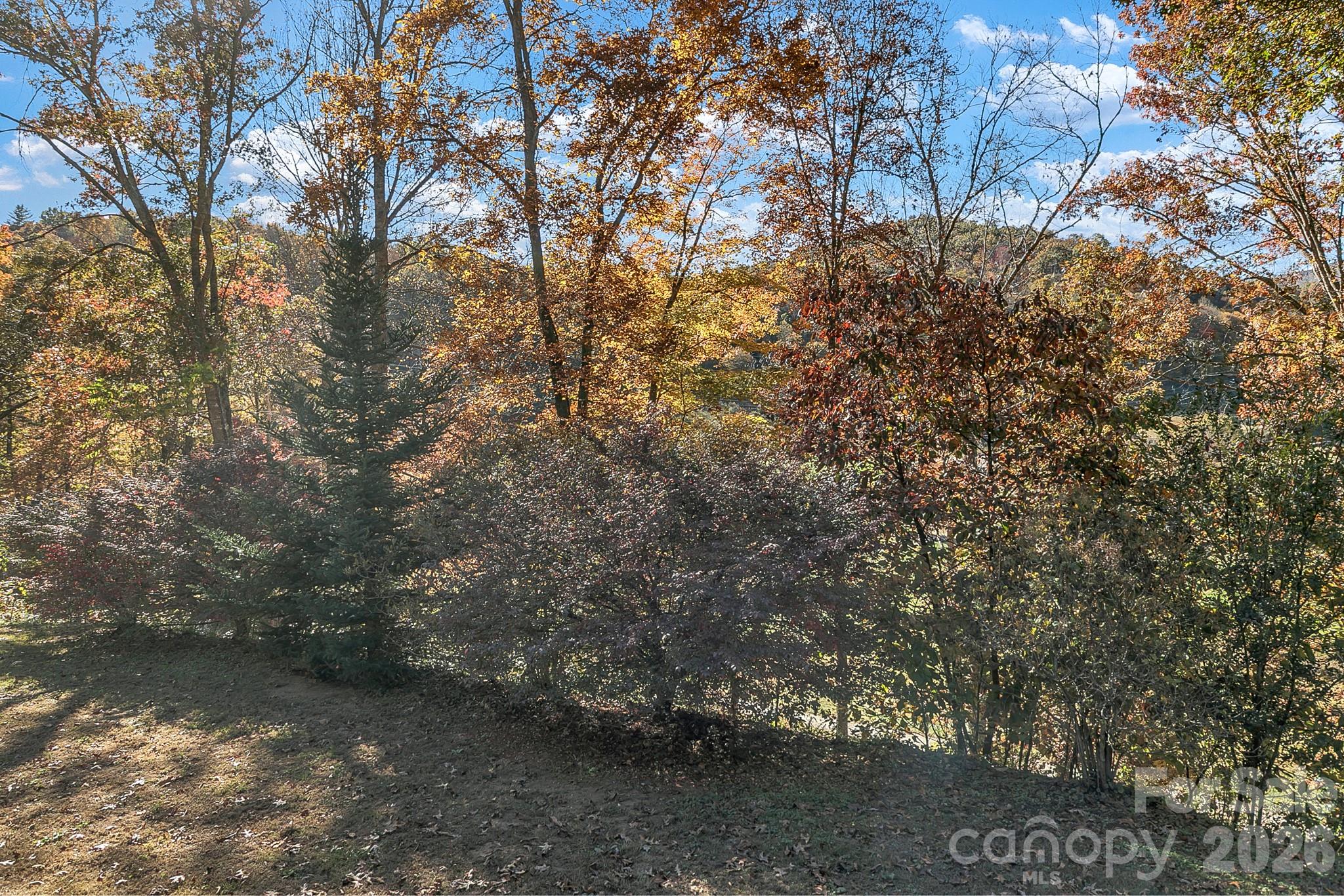 Single Family Residence at 95 Rhinedale Farm Road, Sylva, photo 12 of 46