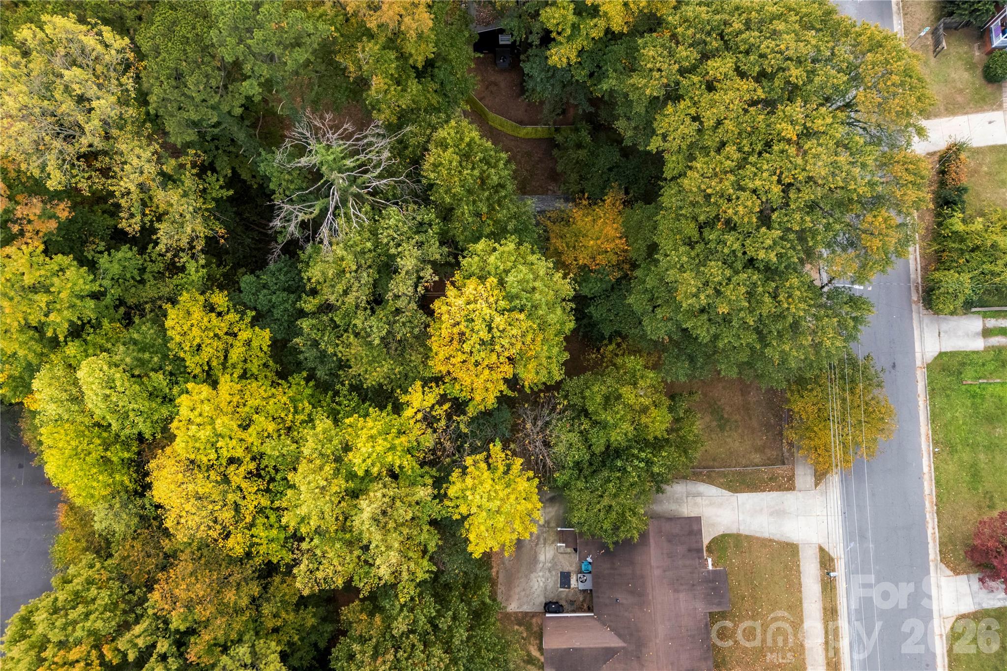 Lot at 1914 Erie Street, Charlotte, photo 8 of 9