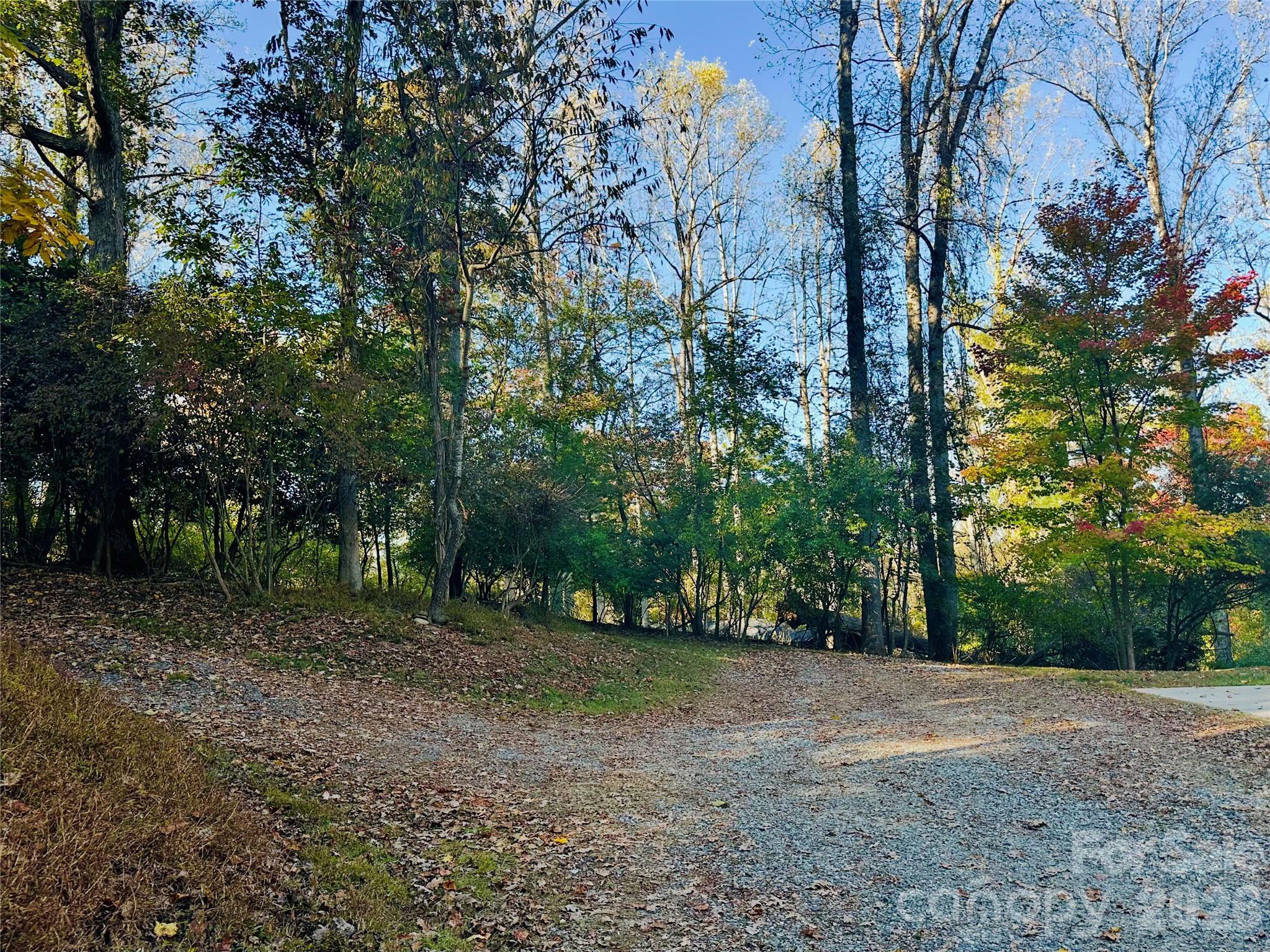 Lot at 68 Cranesway Drive, Asheville, photo 3 of 15