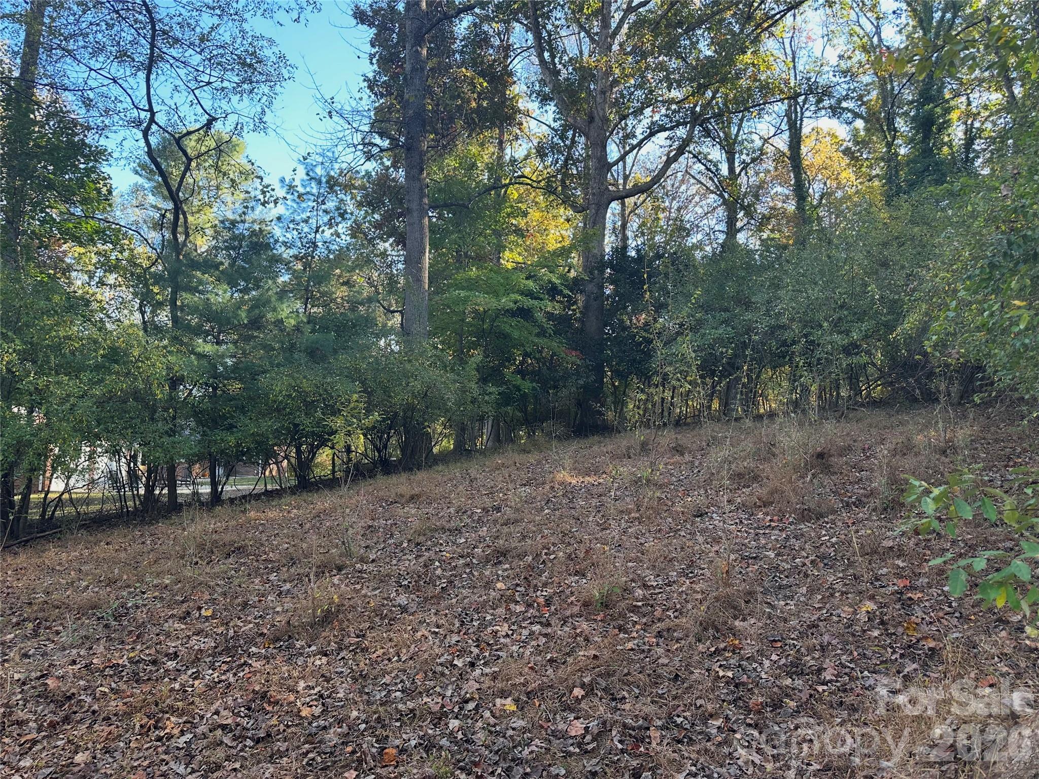Lot at 68 Cranesway Drive, Asheville, photo 4 of 15