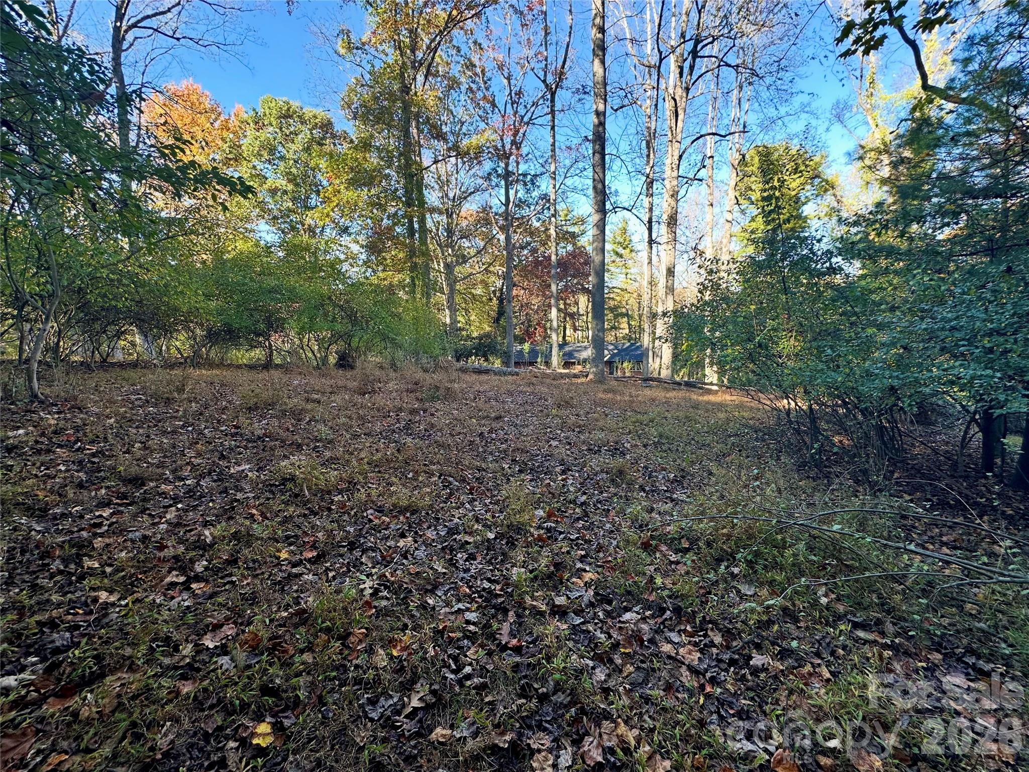 Lot at 68 Cranesway Drive, Asheville, photo 5 of 15