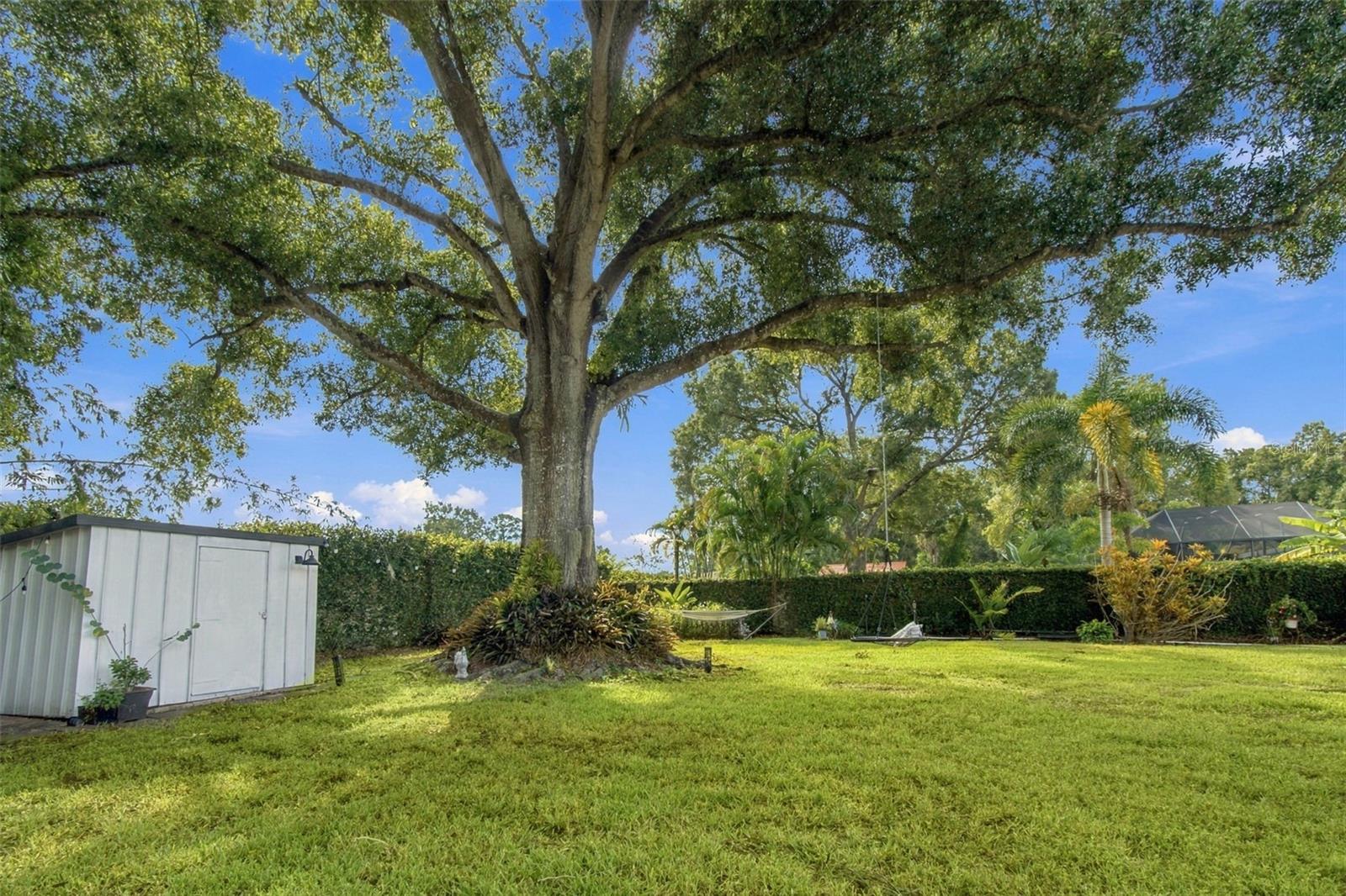 Single Family Residence at 7913 FLOWERFIELD DR, TAMPA, photo 82 of 100