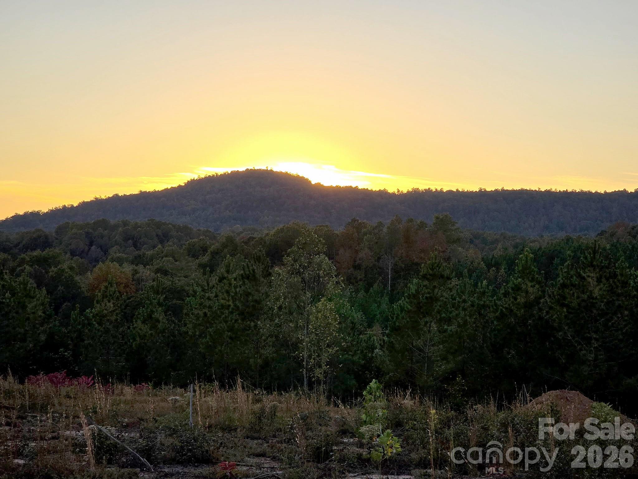 Acreage at V/L Kohen Trail, Nebo, photo 28 of 29