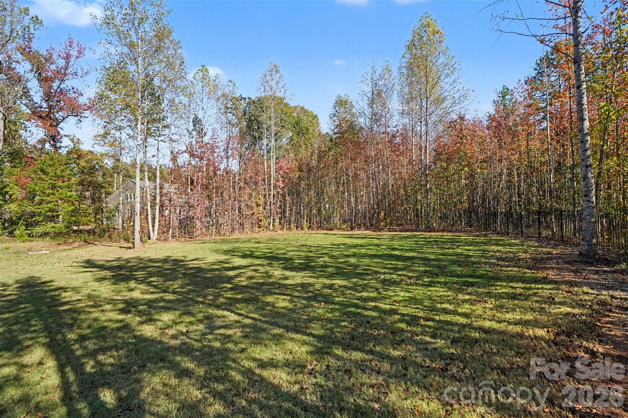 Spacious Back Yard - 11238 Dappled Light Trail, Mint Hill