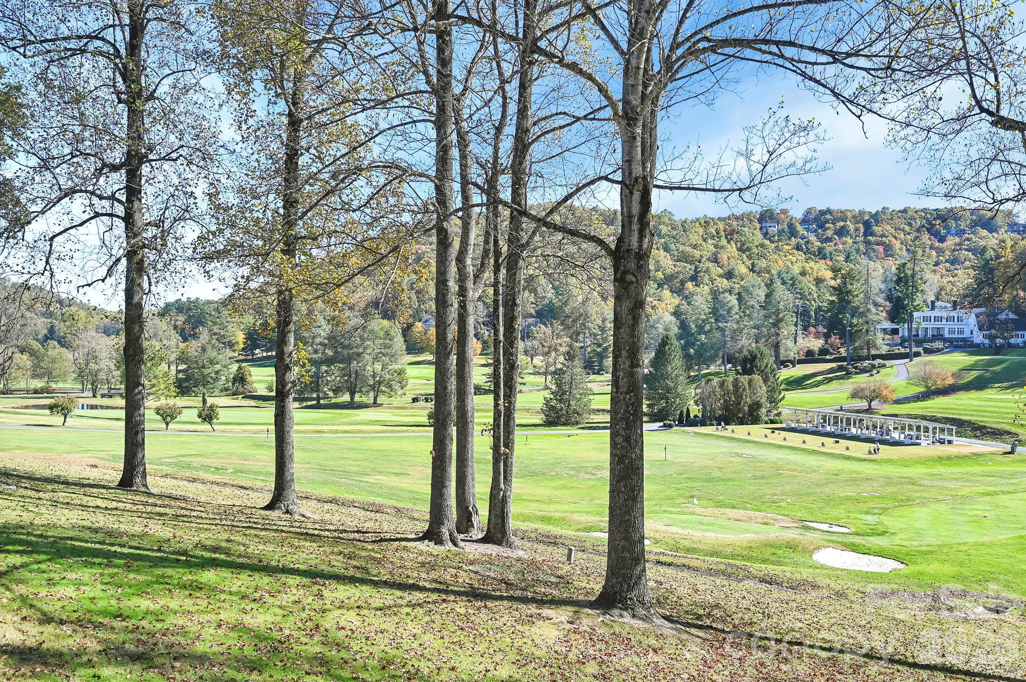Condominium at 221 Winding Meadows Drive, Flat Rock, photo 27 of 46