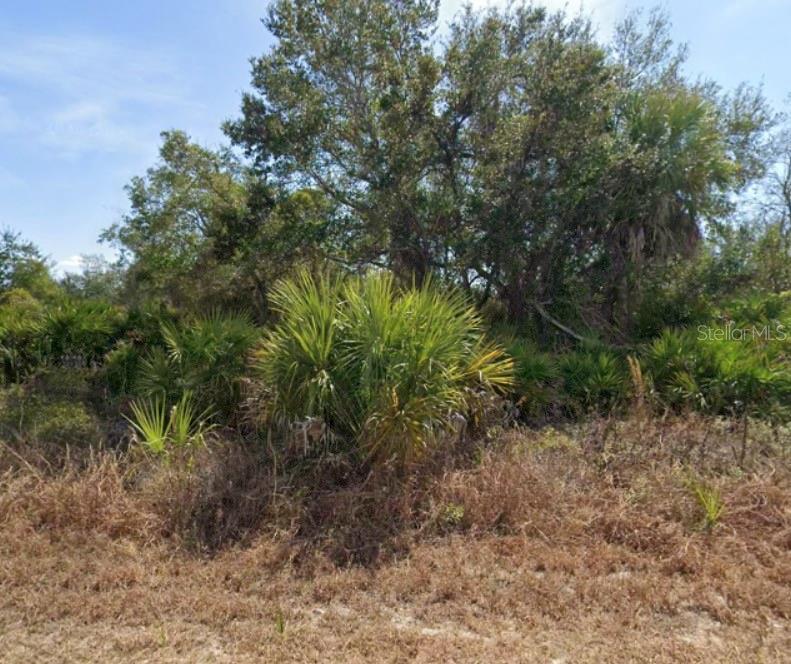 Land at 3416 KNOX TER, PORT CHARLOTTE, photo 2 of 3