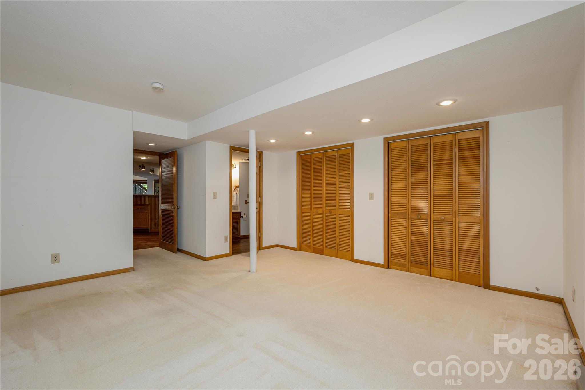 "Bonus" room downstairs - 20 Wild Cherry Drive, Mills River
