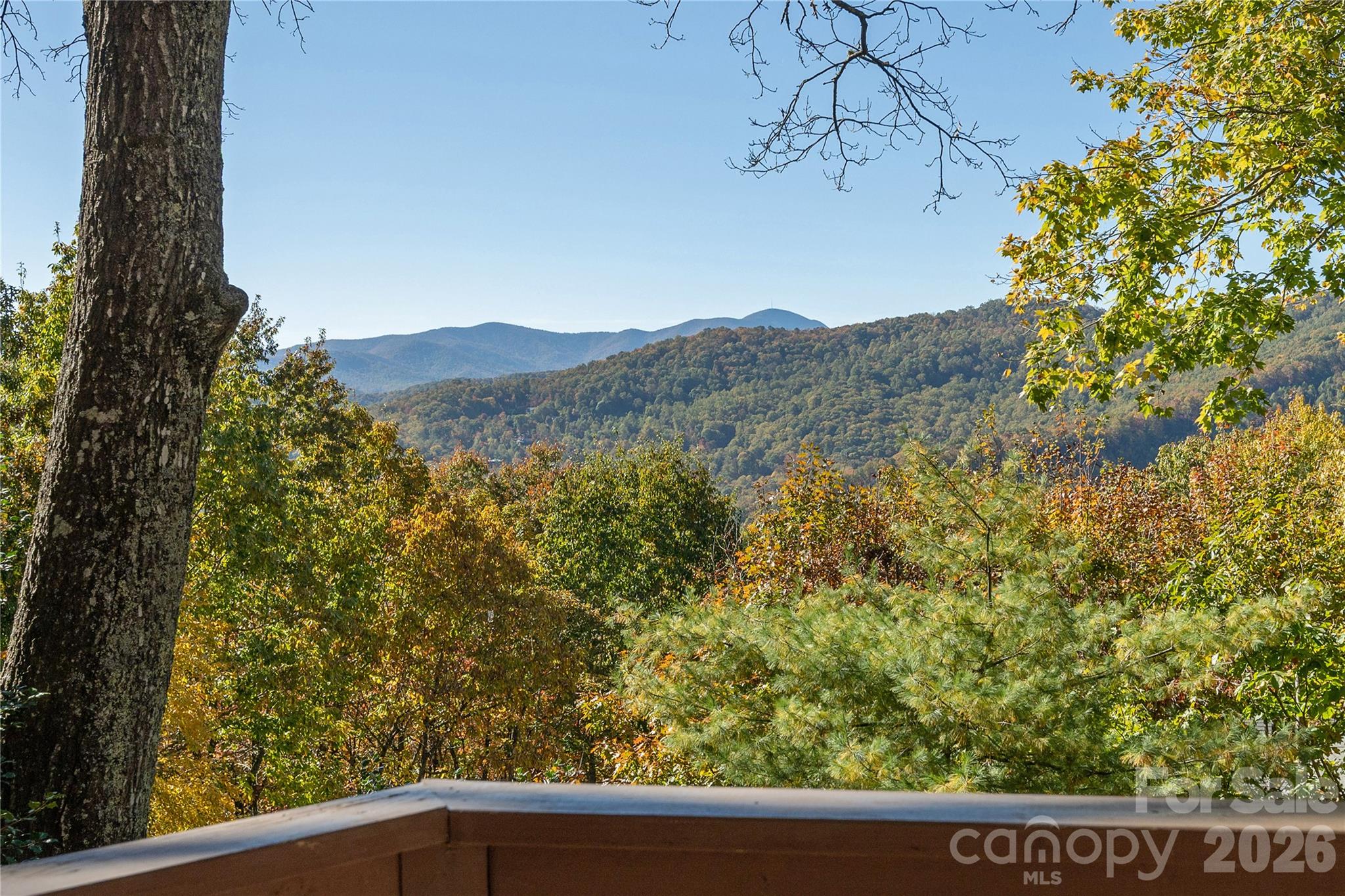 Gazebo view - 20 Wild Cherry Drive, Mills River