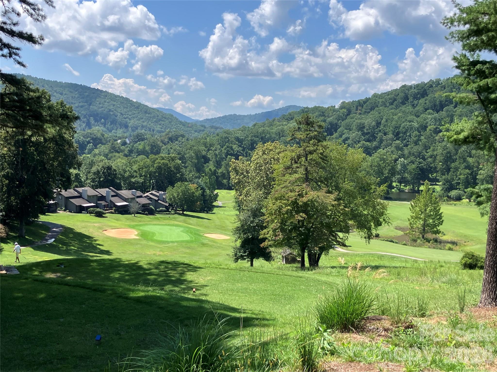 Club golf course - 20 Wild Cherry Drive, Mills River