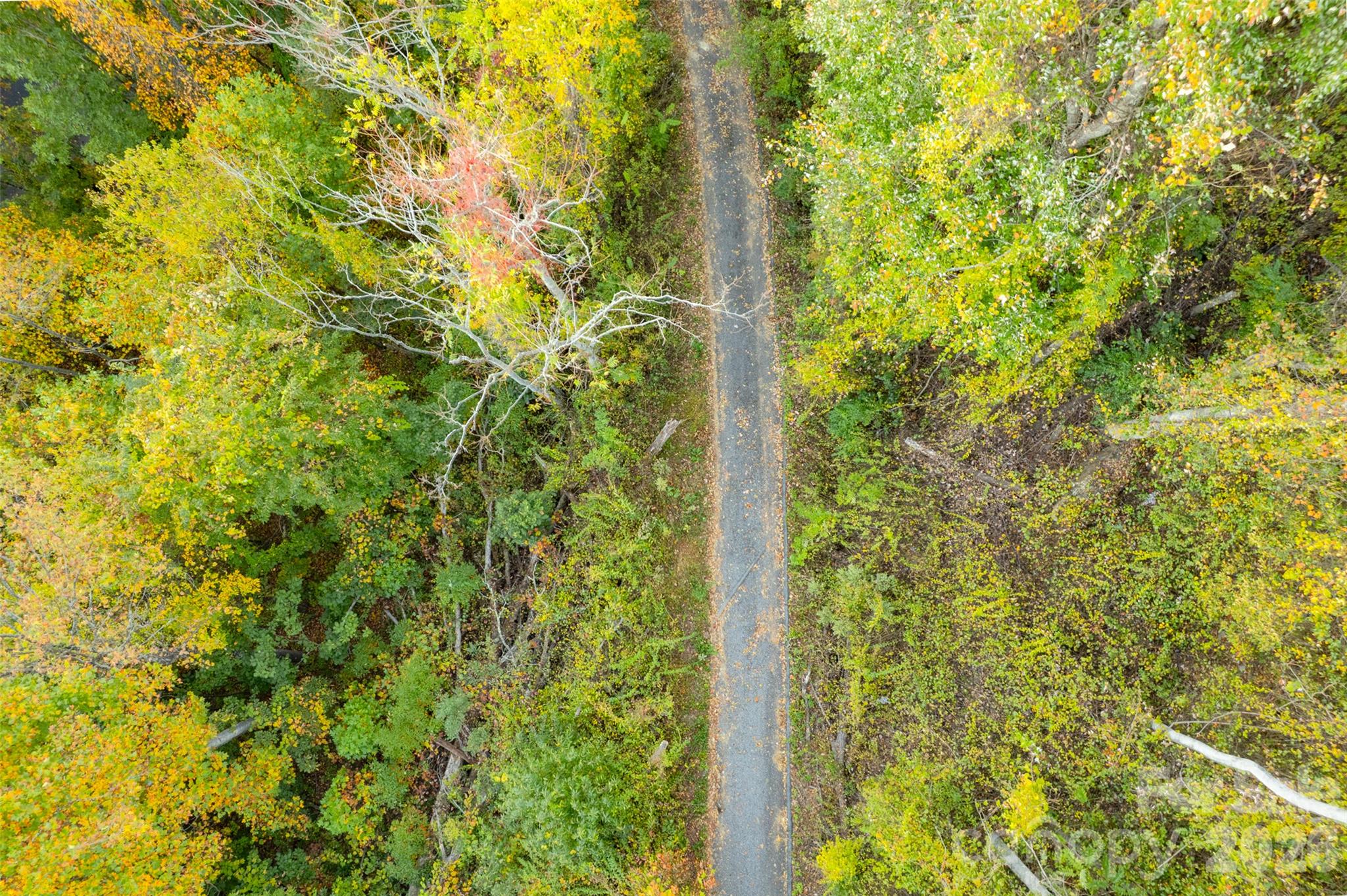 Acreage at 337 Pinnacle Drive, Black Mountain, photo 3 of 15