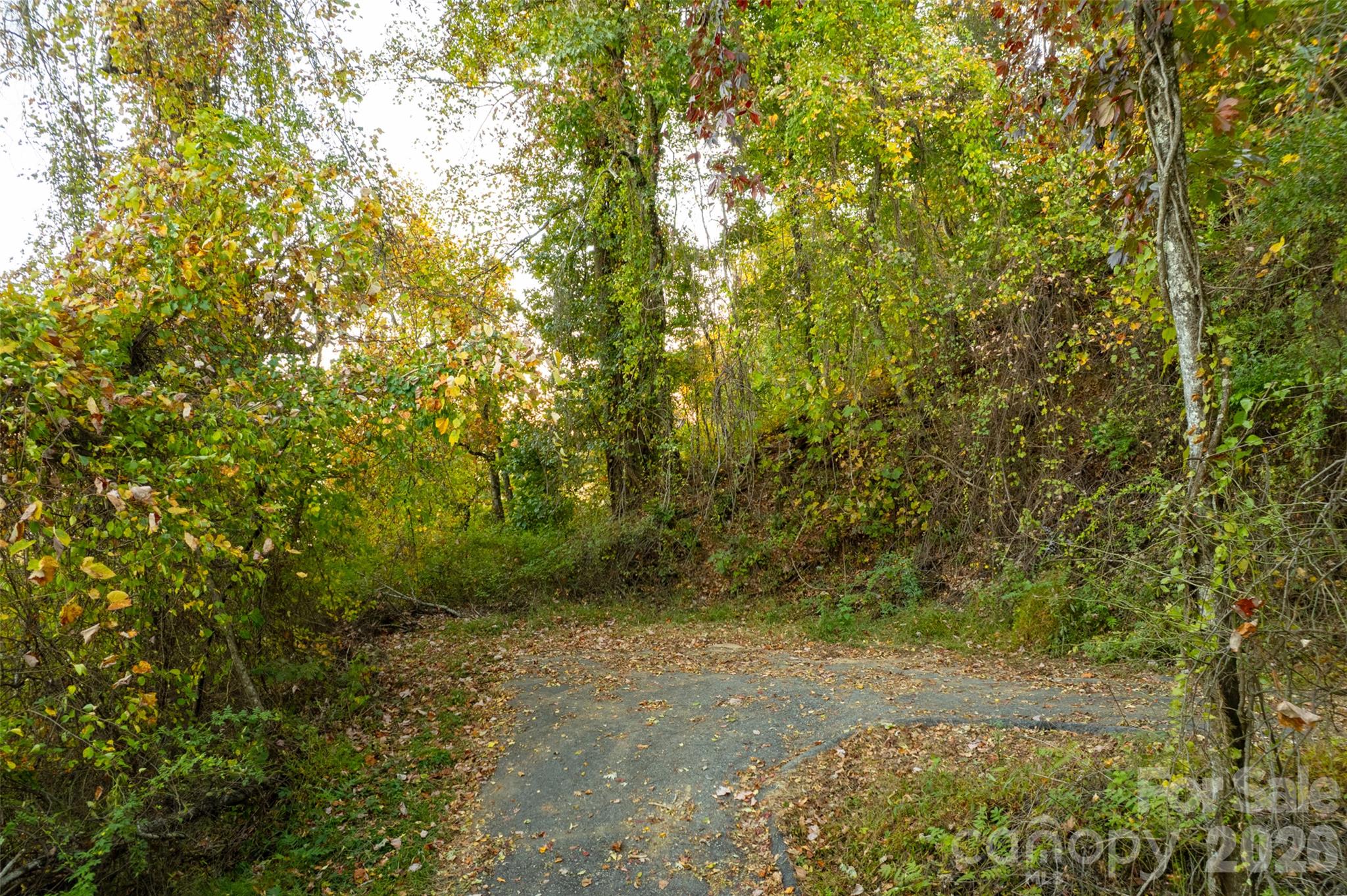 Acreage at 337 Pinnacle Drive, Black Mountain, photo 5 of 15