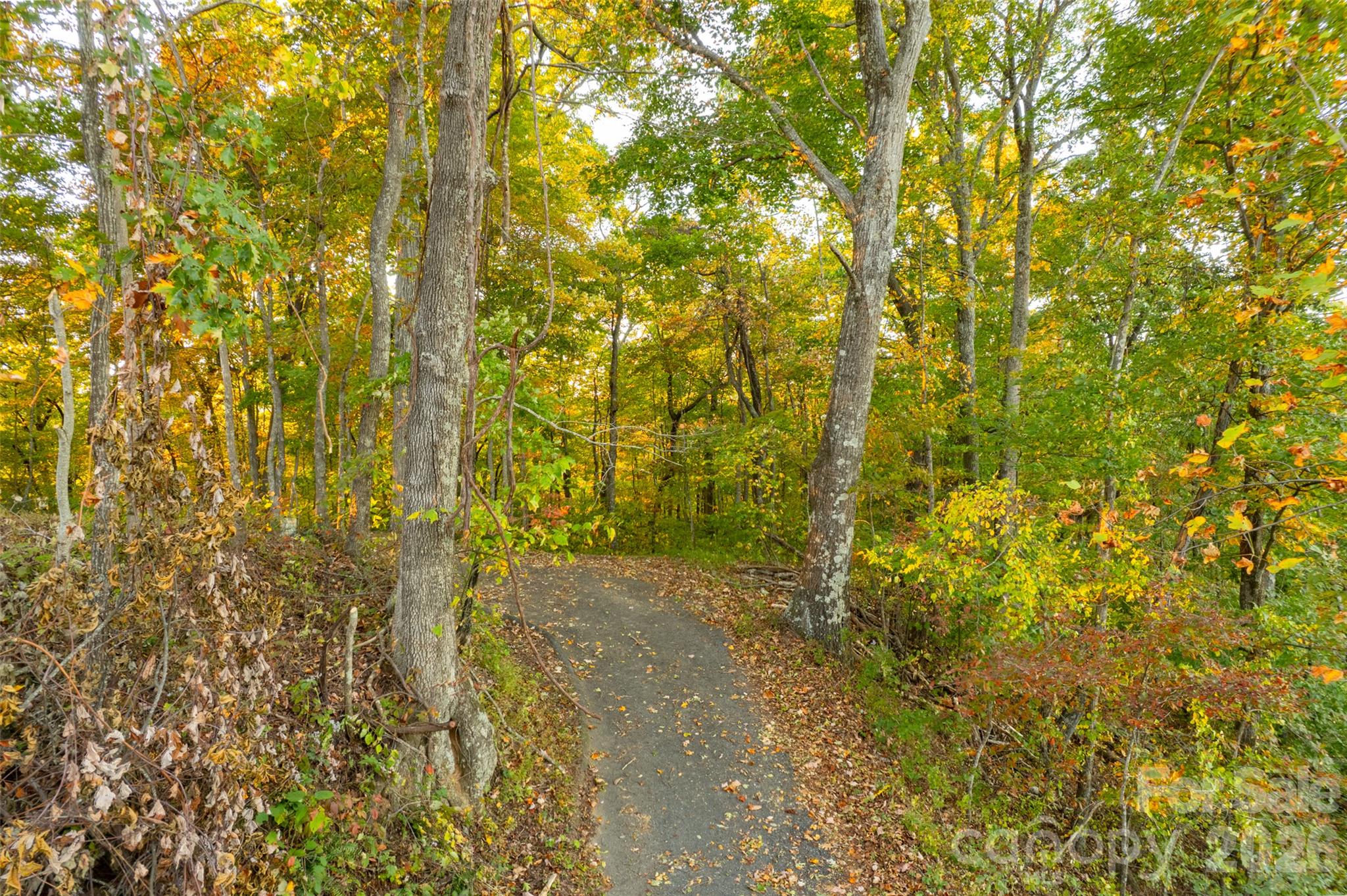 Acreage at 337 Pinnacle Drive, Black Mountain, photo 6 of 15