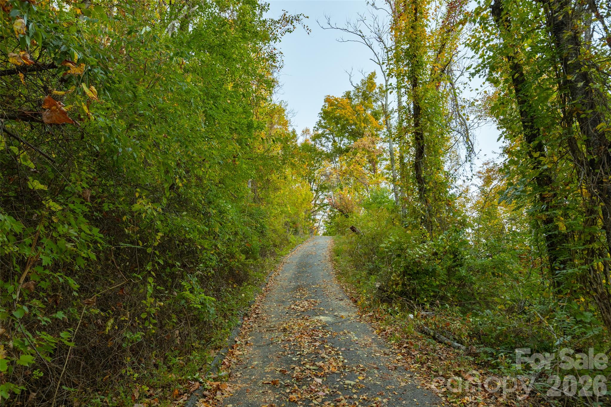 Acreage at 337 Pinnacle Drive, Black Mountain, photo 7 of 15
